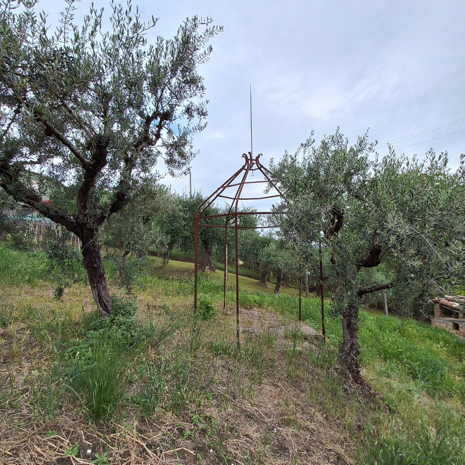 immagine annuncio 3 di 10