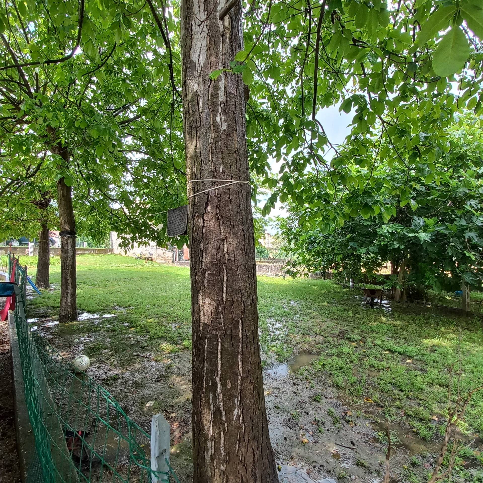 CASA in vendita a Falerone, Piane di Falerone