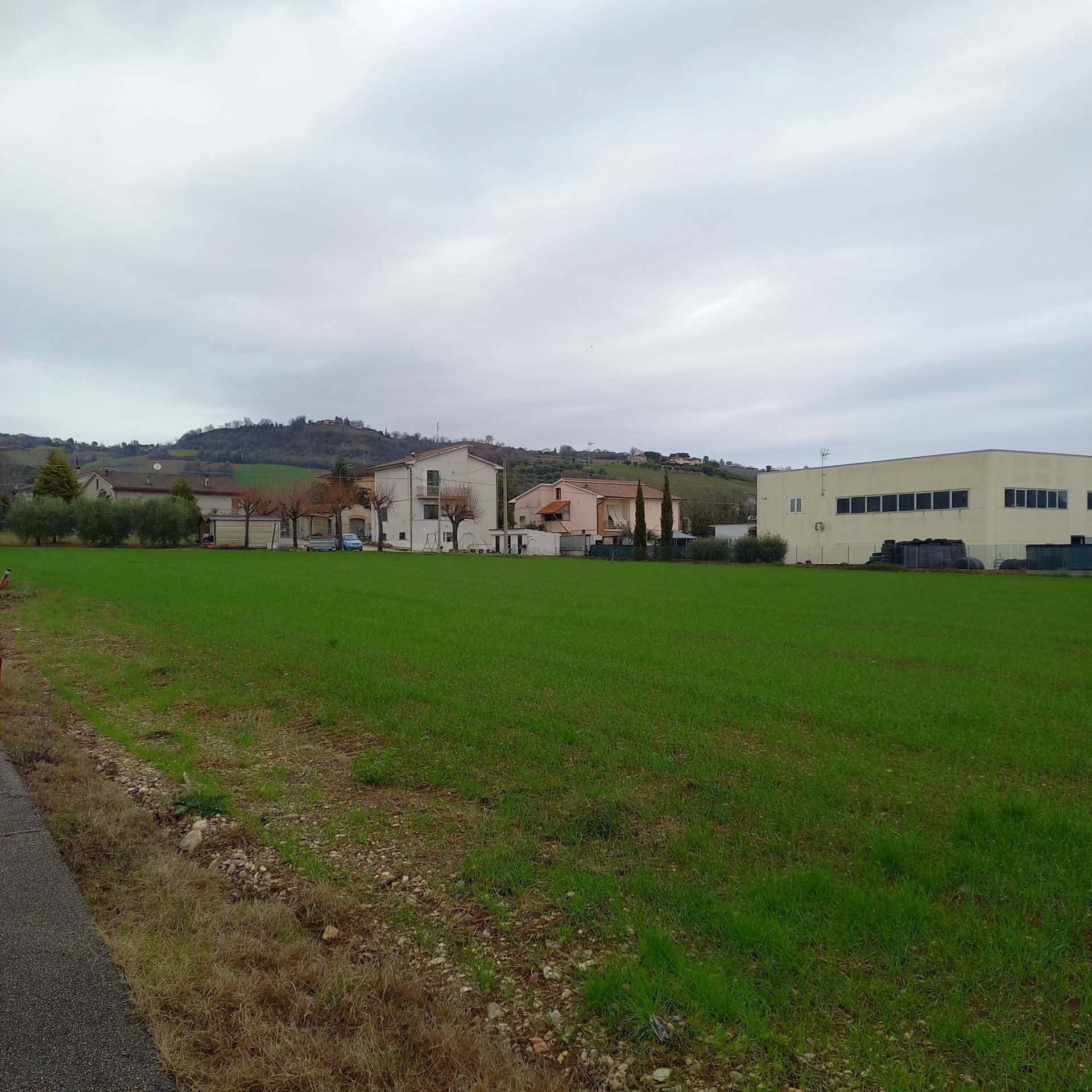 TERRENO EDIFICABILE INDUSTRIALE in vendita a Falerone, Piane di Falerone