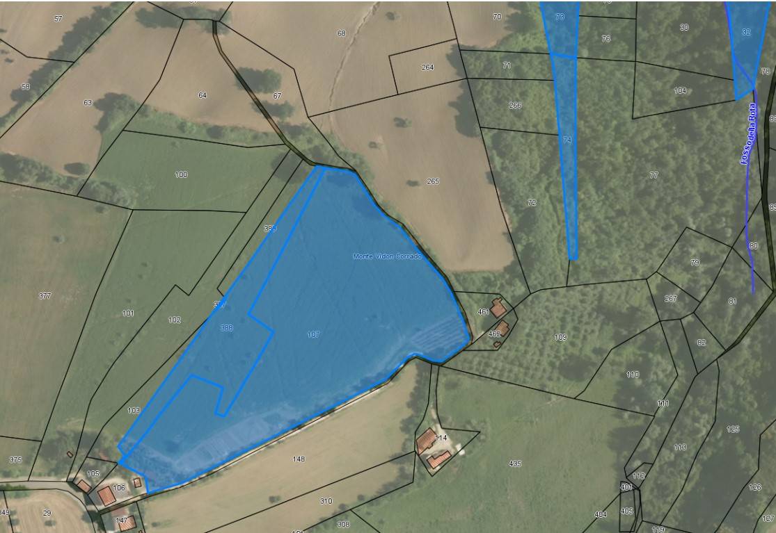Terreno Agricolo in vendita a Monte Vidon Corrado