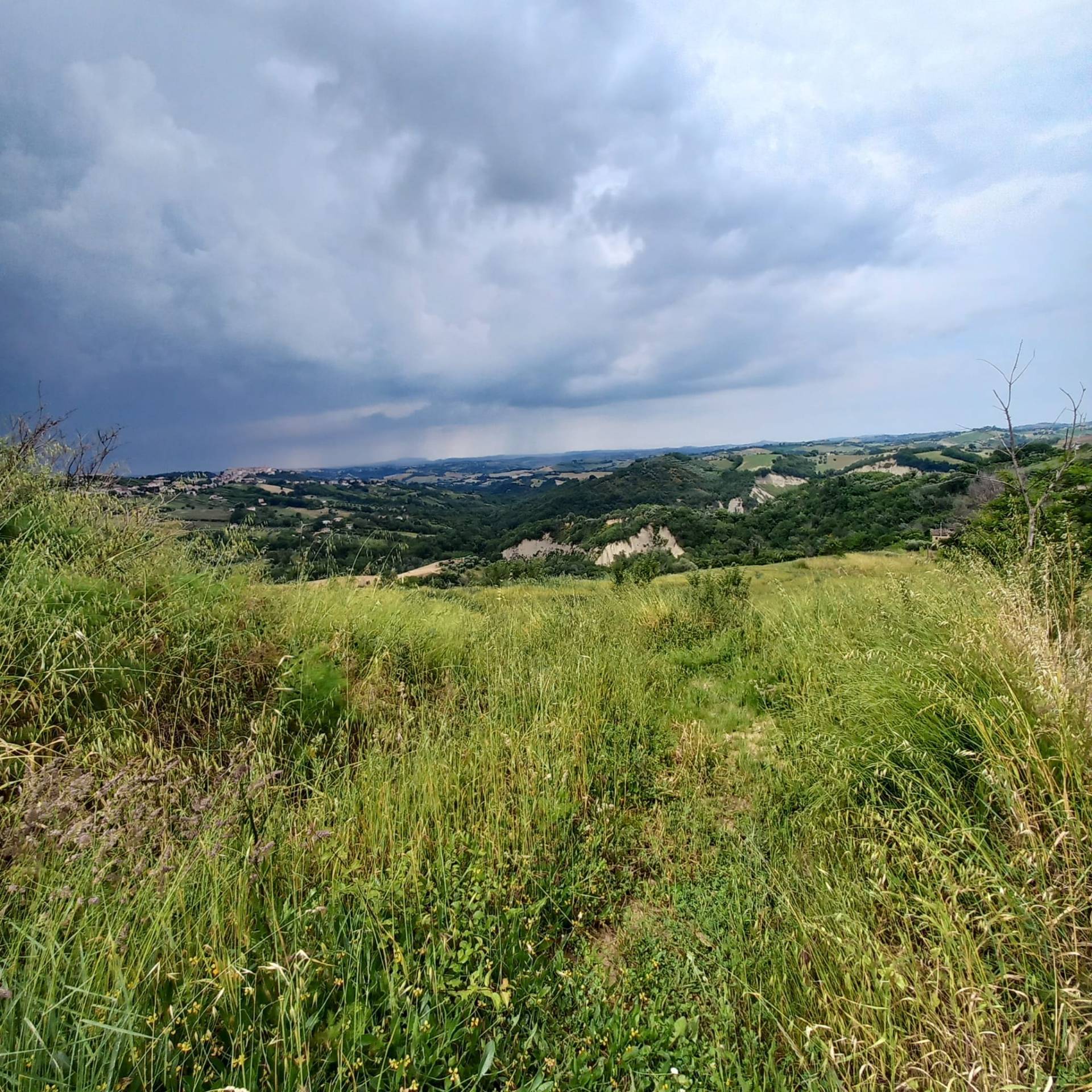 Terreno Agricolo in vendita a Monte Vidon Corrado