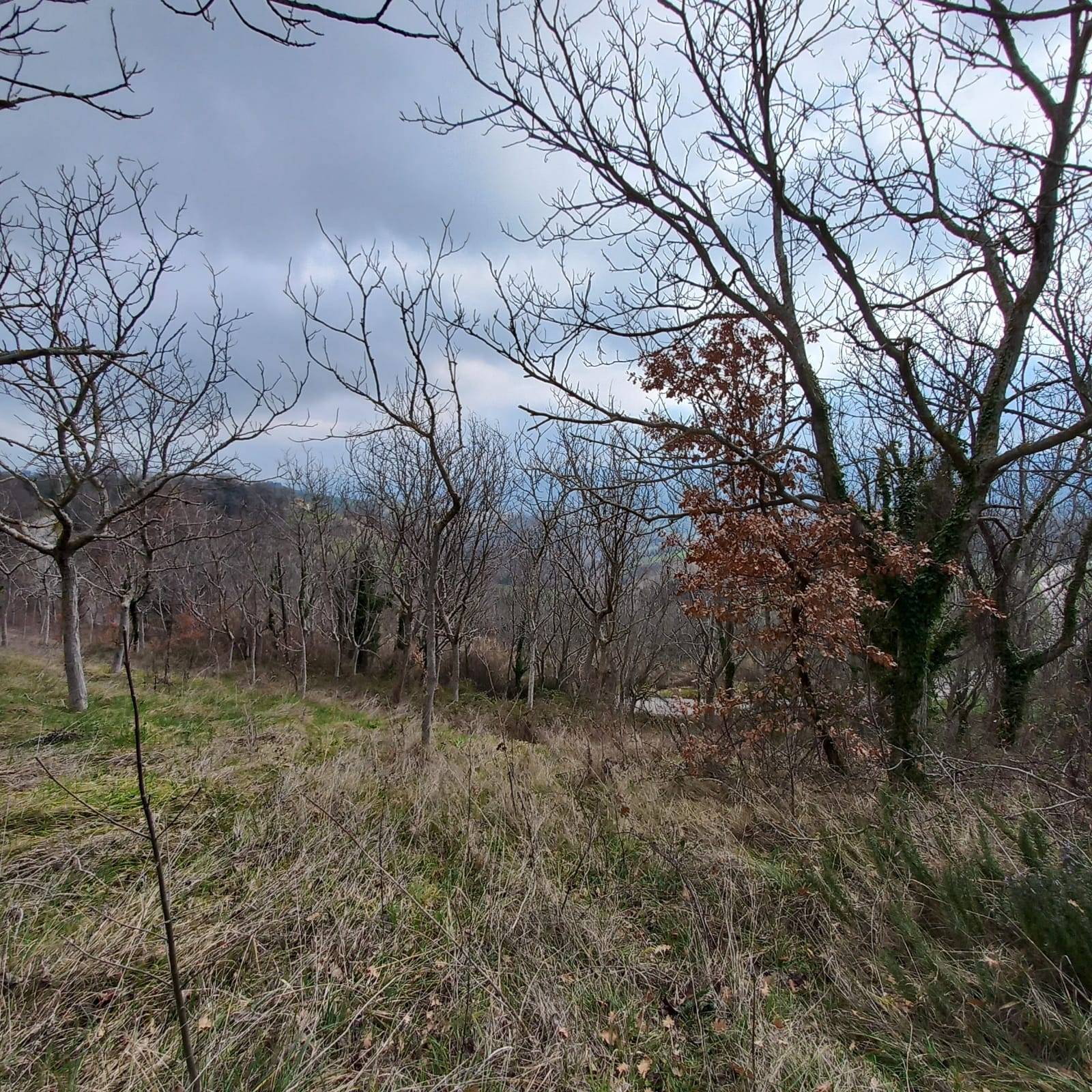 Rustico in vendita a Montelparo