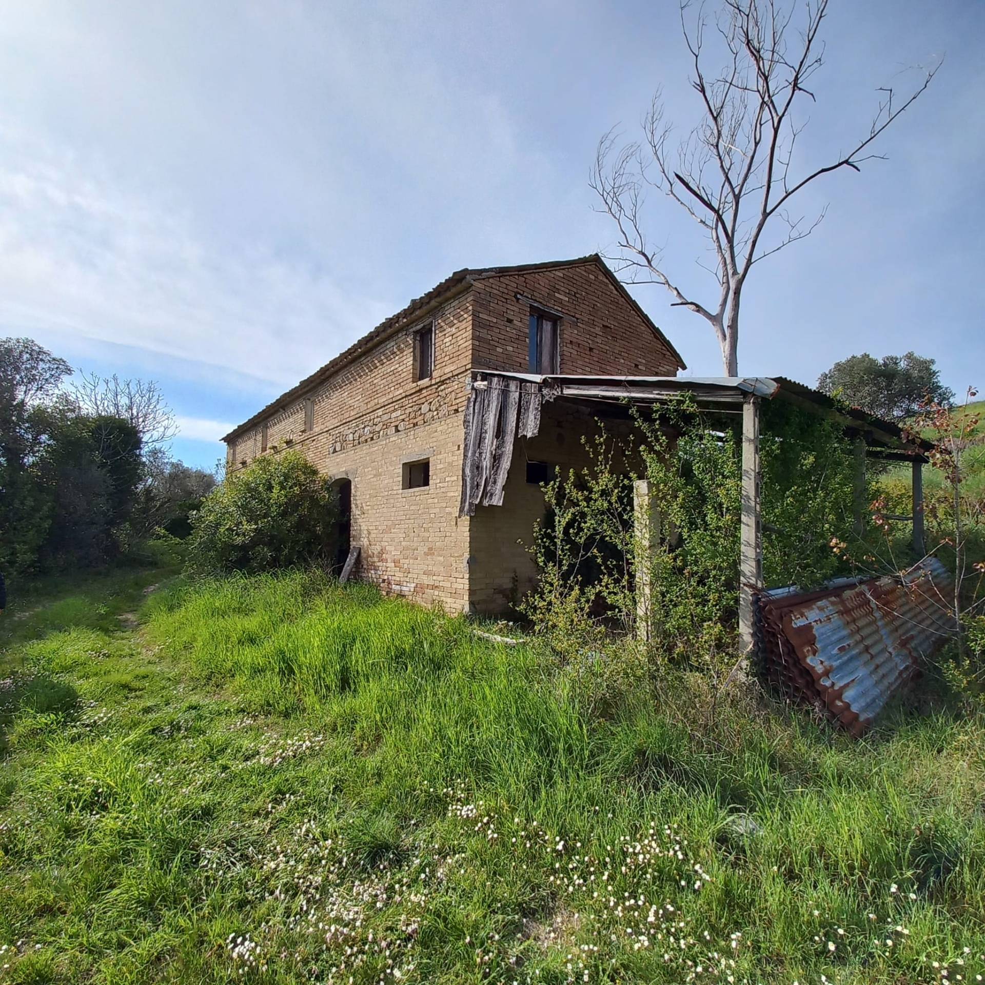 Casolare e Terreno in vendita a Montottone