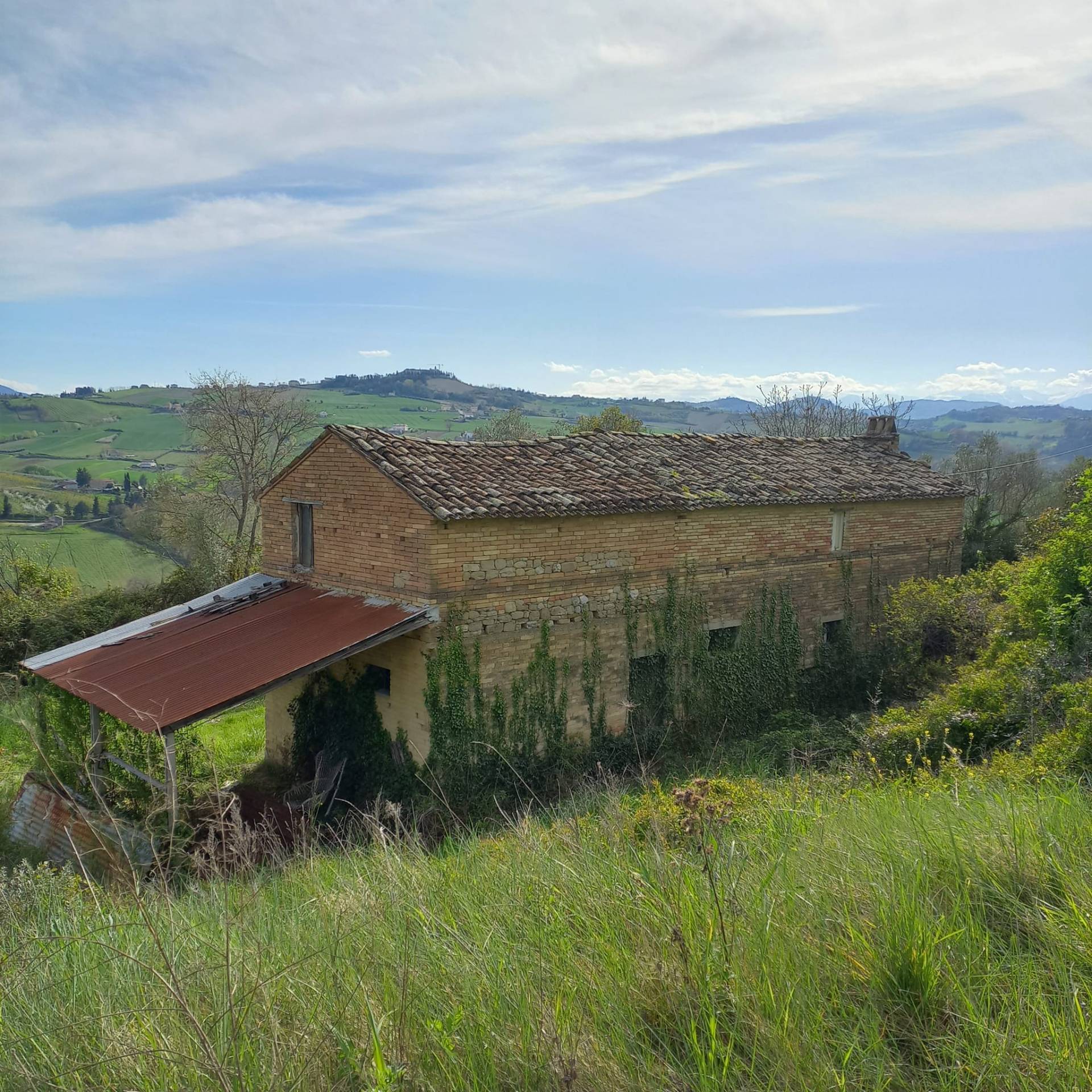 Casolare e Terreno in vendita a Montottone
