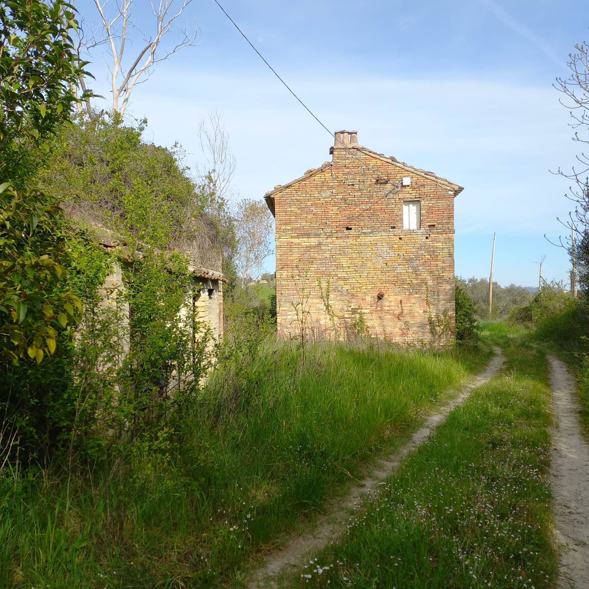 Casolare e Terreno in vendita a Montottone
