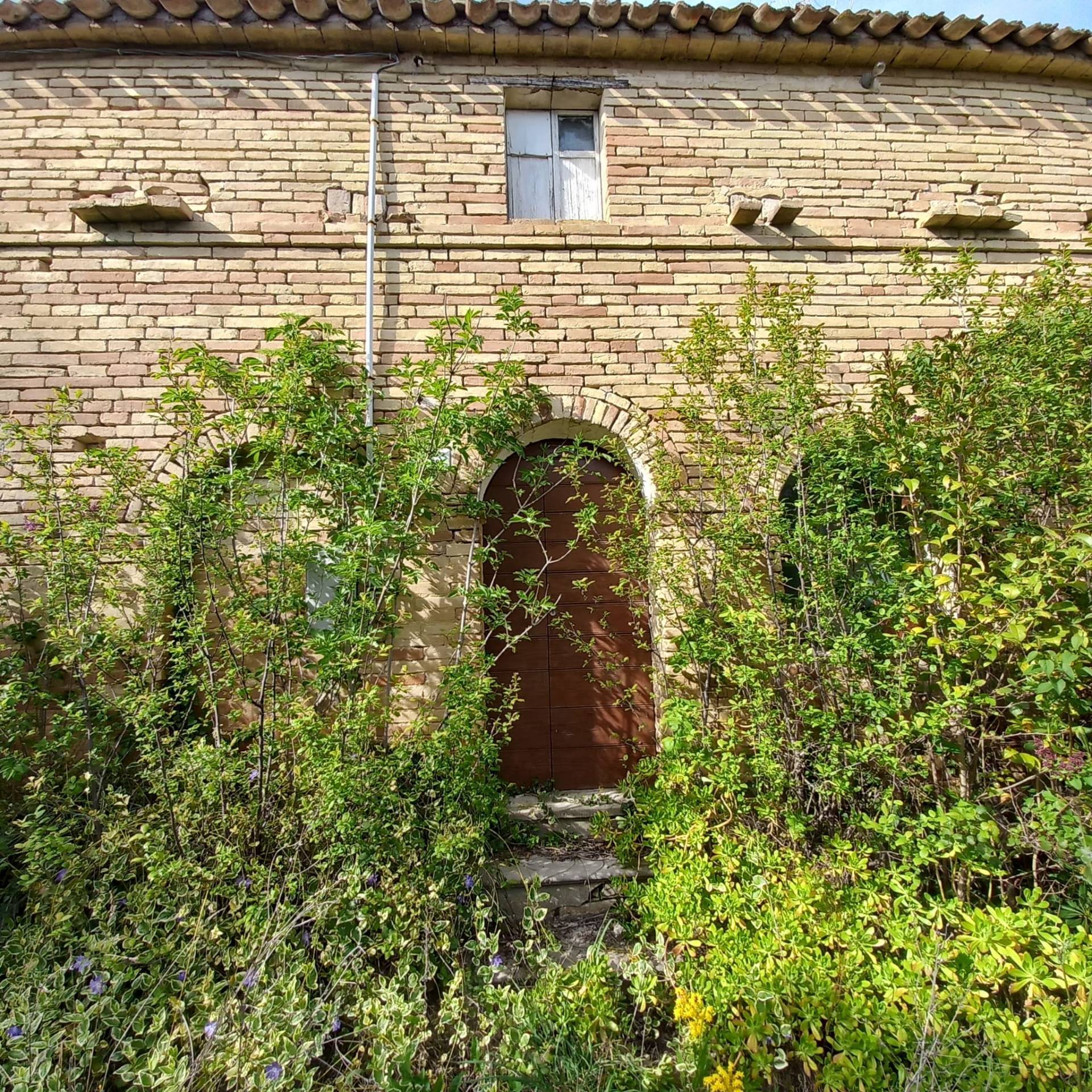 Casolare e Terreno in vendita a Montottone