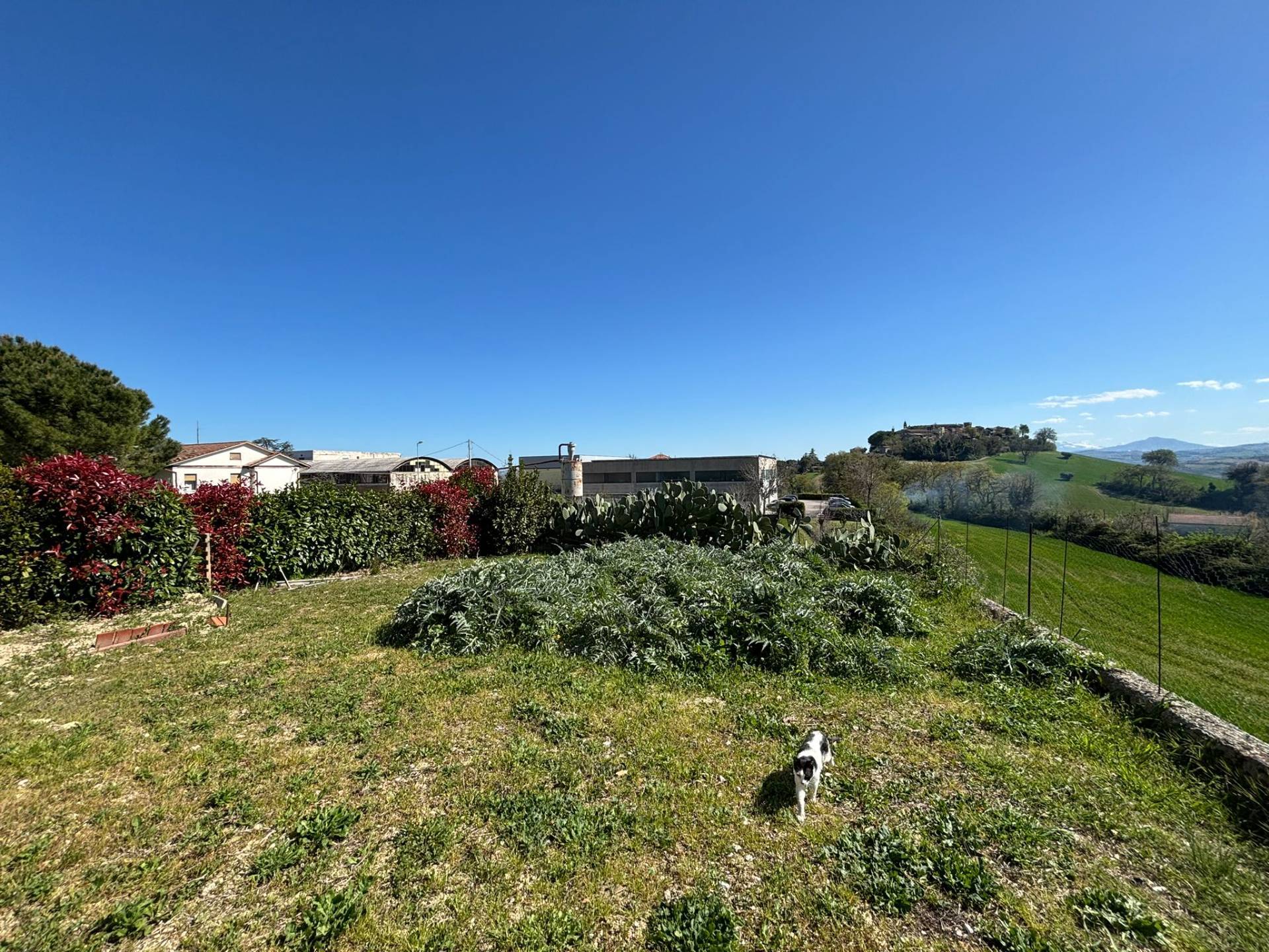 Casa associata in vendita a Magliano di Tenna