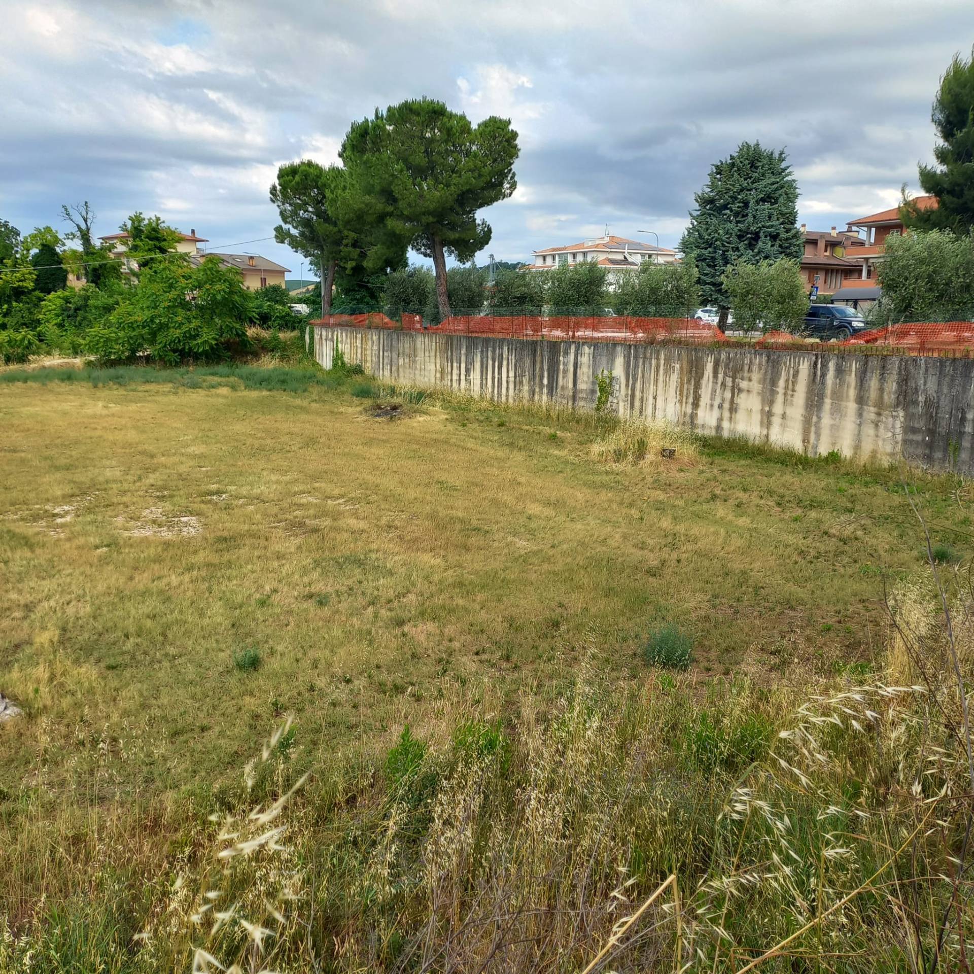Terreno edificabile in vendita a Grottazzolina