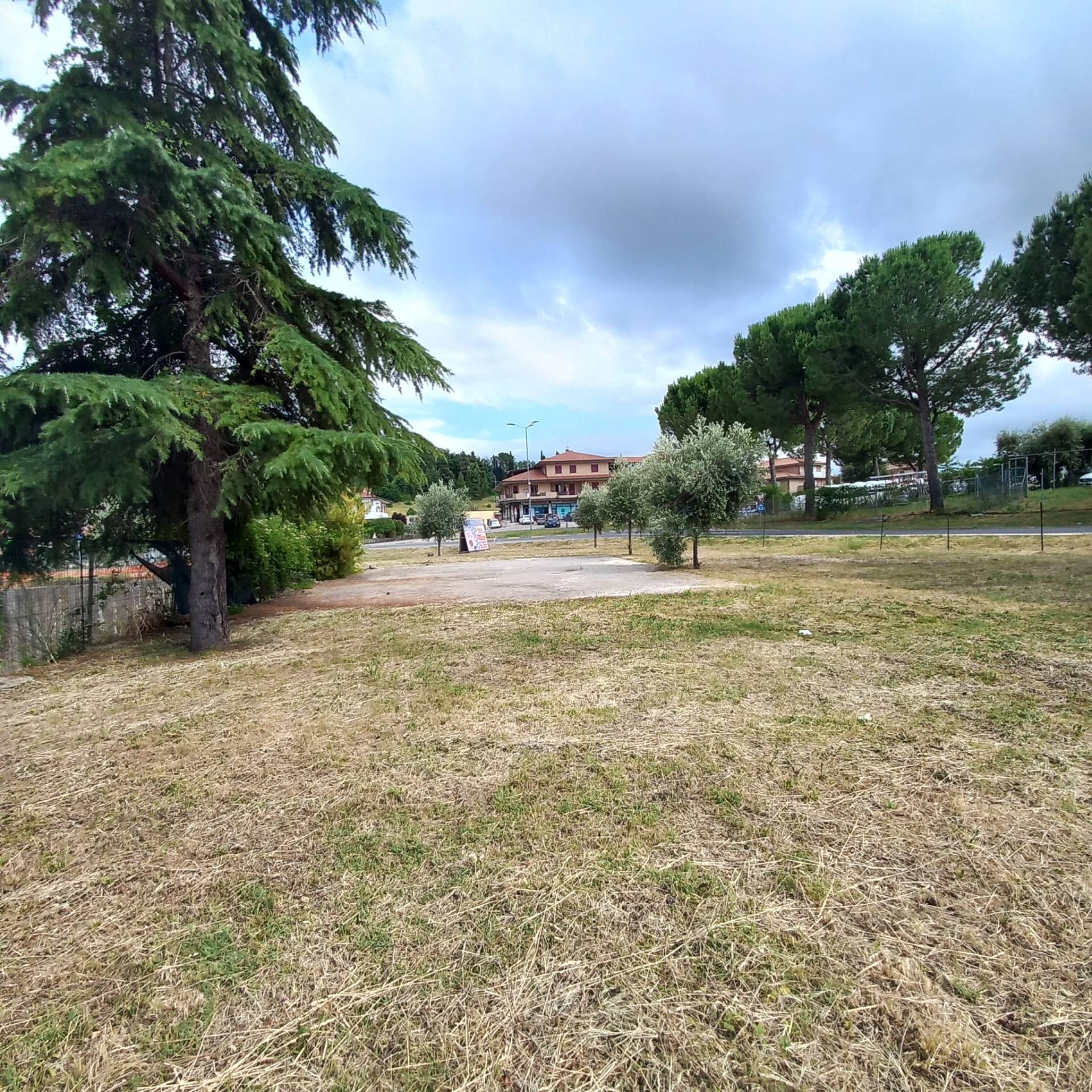 Terreno edificabile in vendita a Grottazzolina