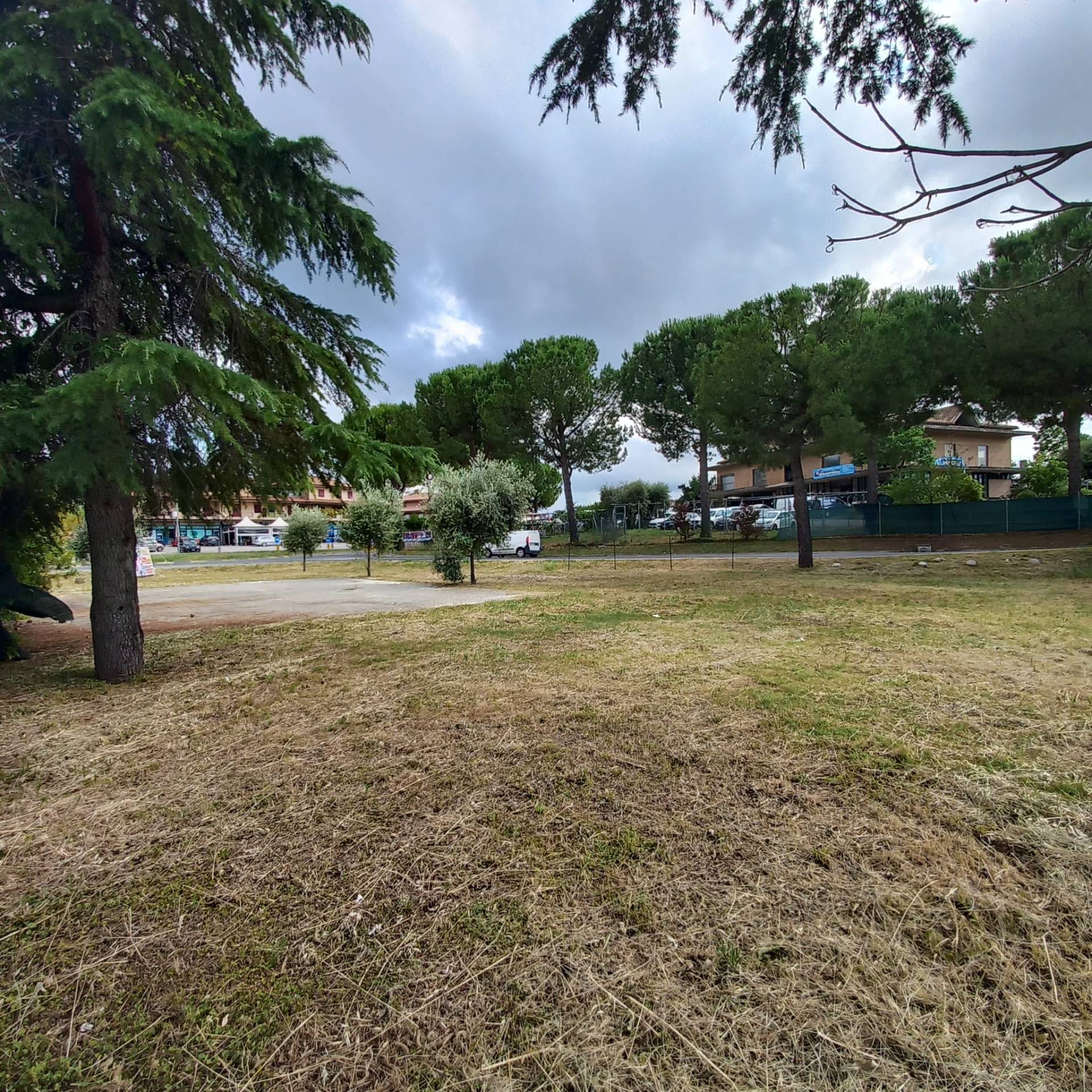 Terreno edificabile in vendita a Grottazzolina