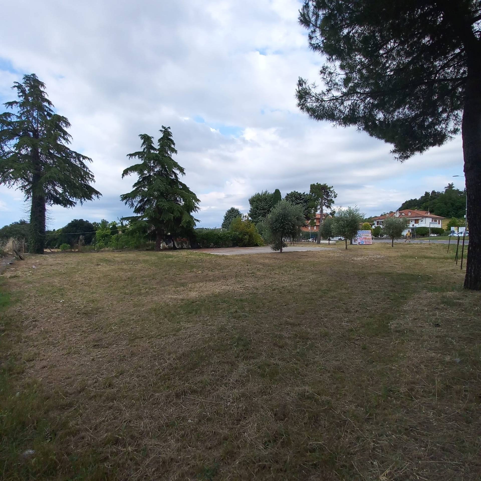 Terreno edificabile in vendita a Grottazzolina