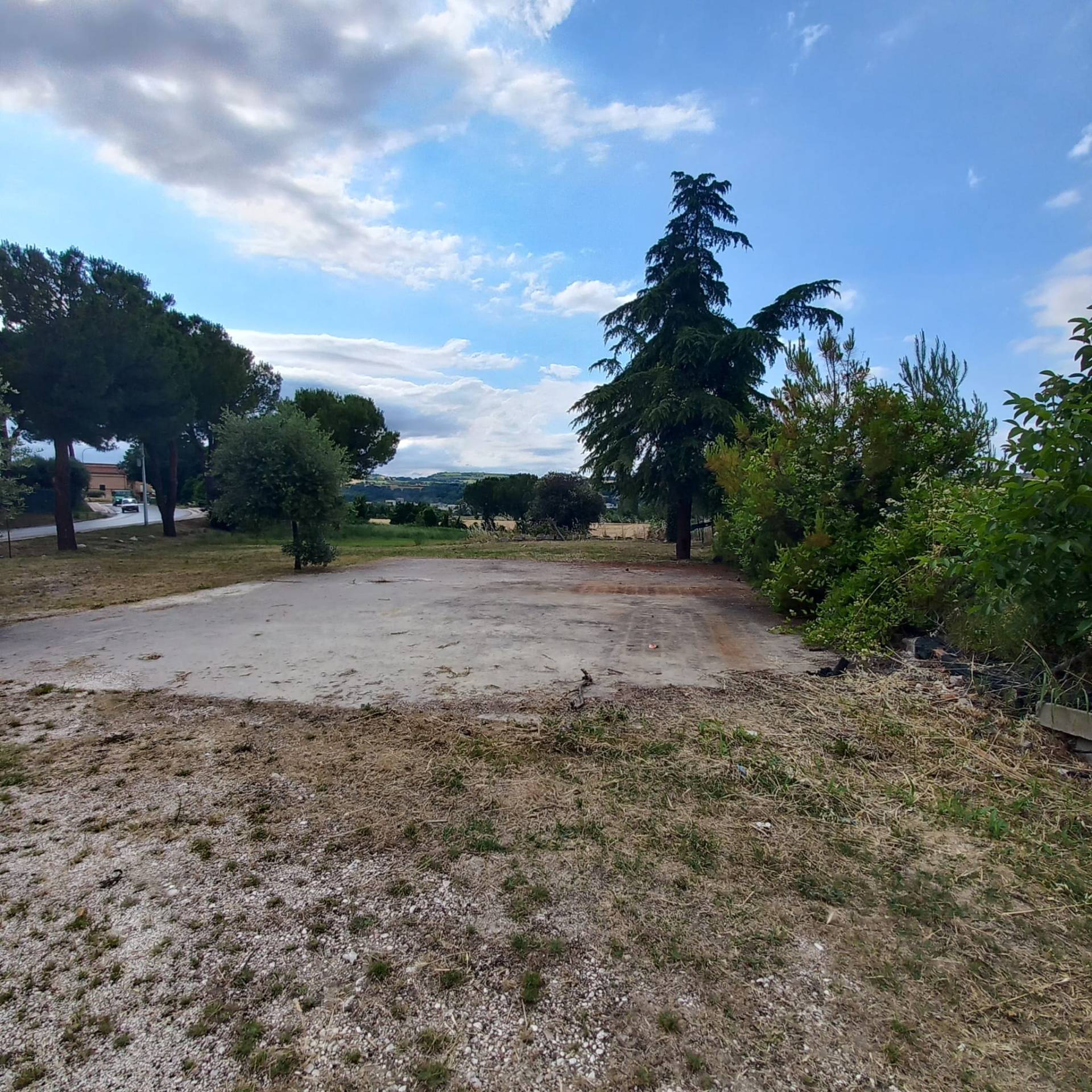 Terreno edificabile in vendita a Grottazzolina