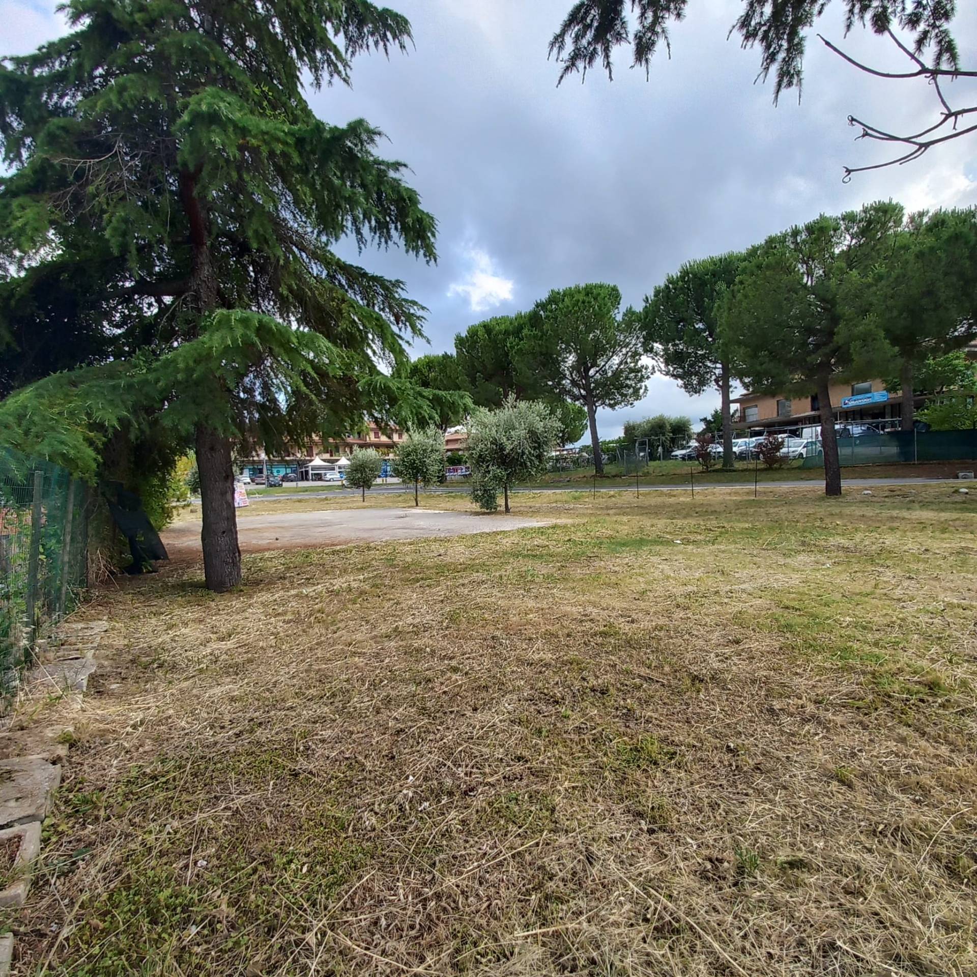 Terreno edificabile in vendita a Grottazzolina
