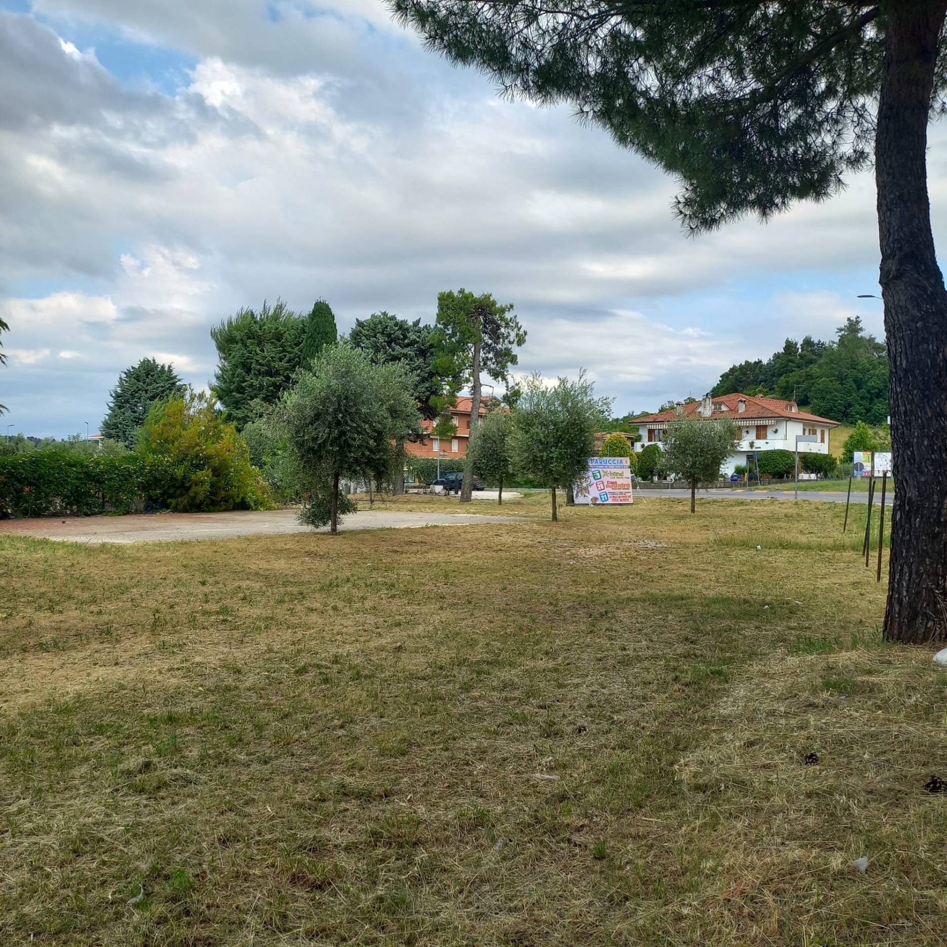 Terreno edificabile in vendita a Grottazzolina