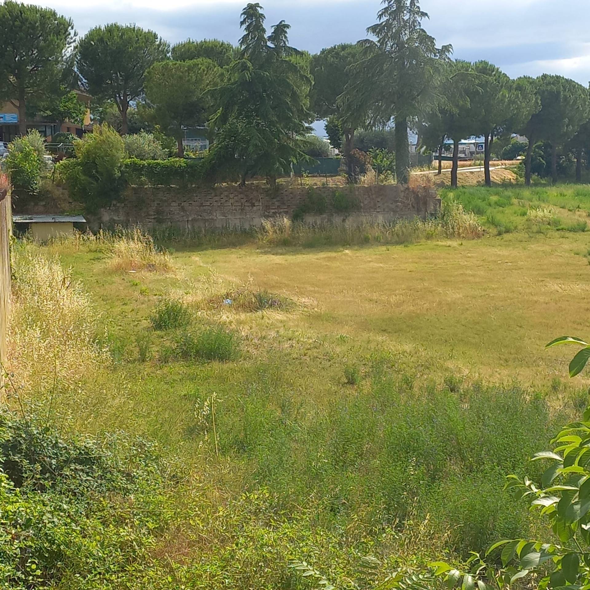 Terreno edificabile in vendita a Grottazzolina
