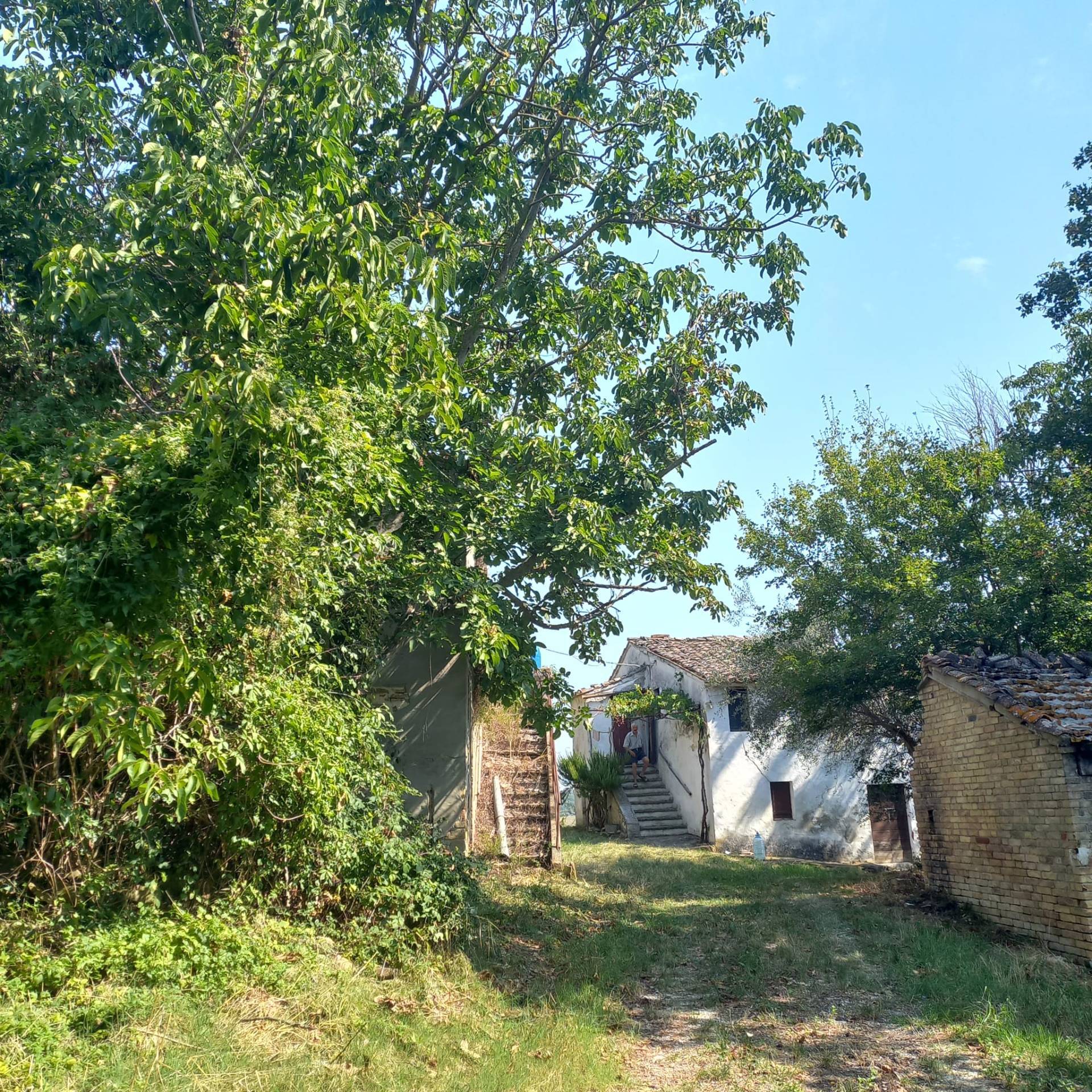 Casa associata in vendita a Falerone