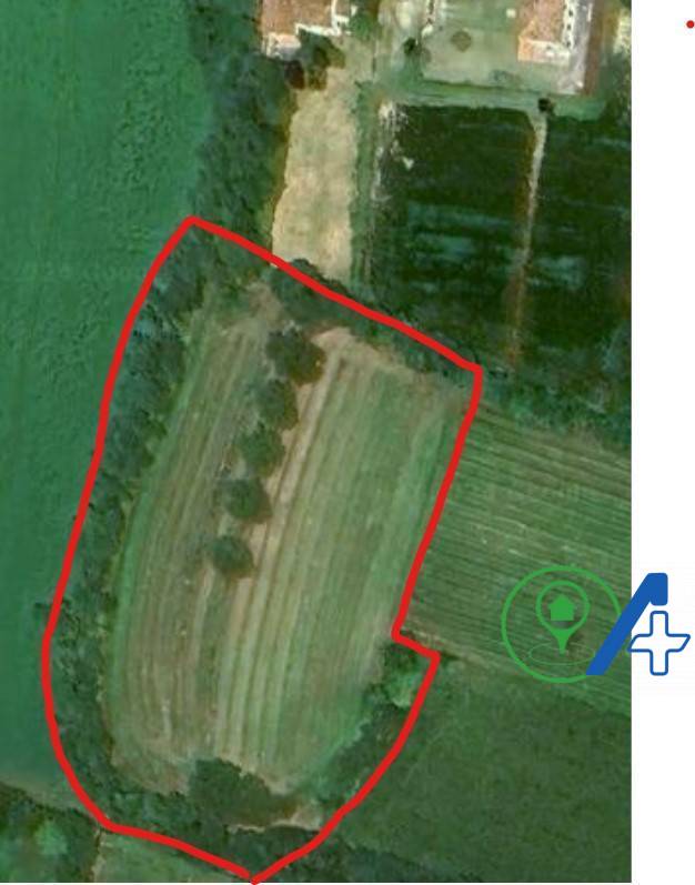 Terreno Agricolo in vendita a Cavriana