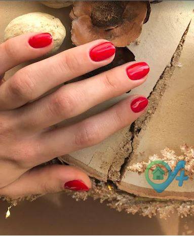 Attivit commerciale in vendita a Mantova