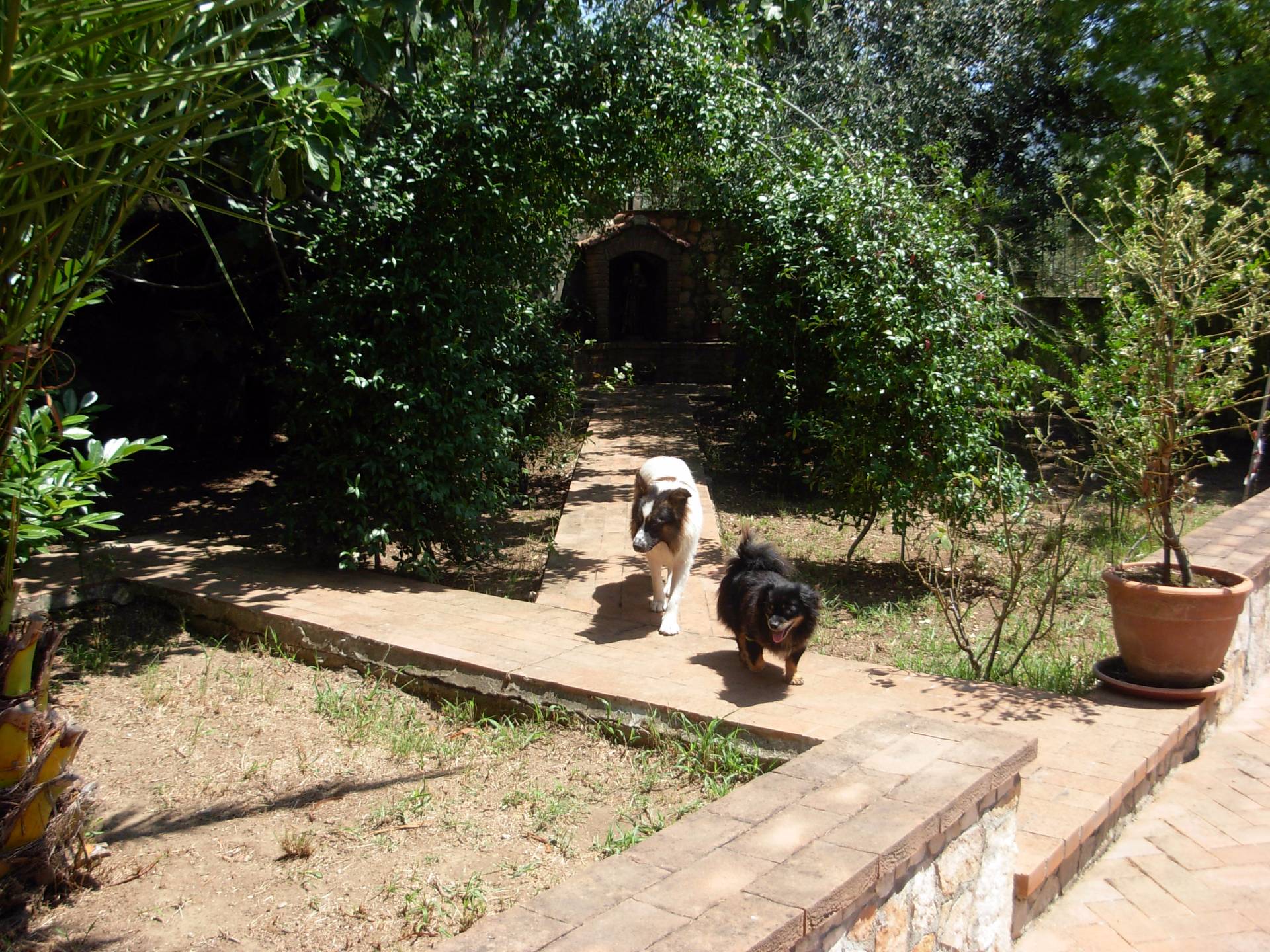 Casa singola in vendita a Telese Terme