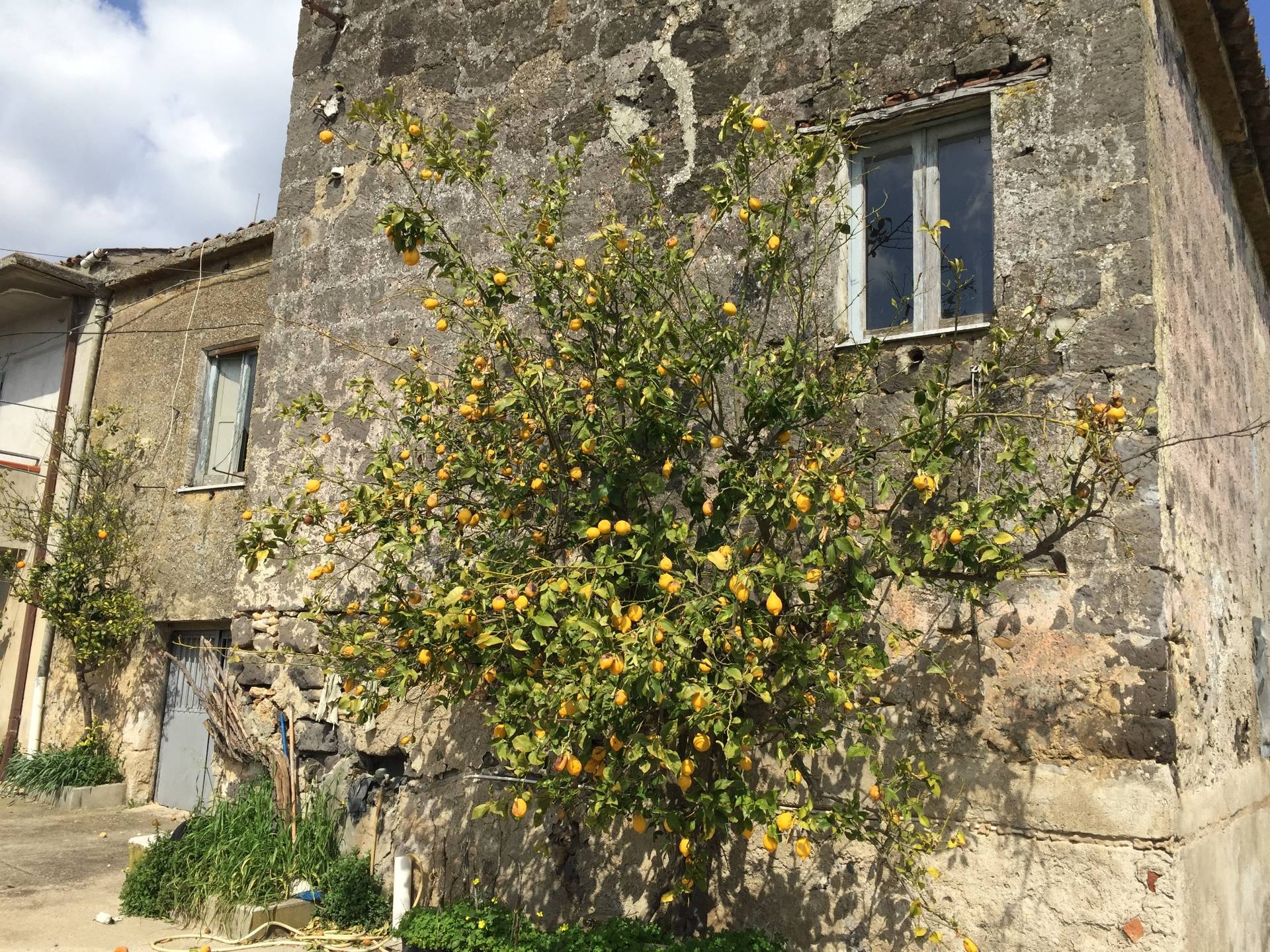 Rustico in vendita a Telese Terme