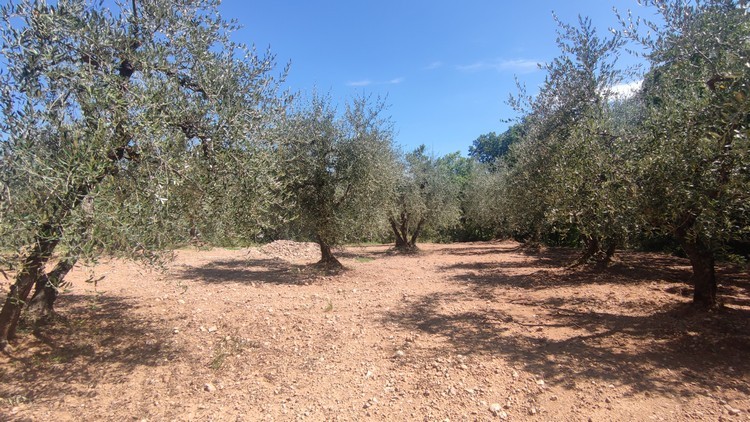 Terreno in vendita in strada provinciale 102, Castelnuovo Berardenga