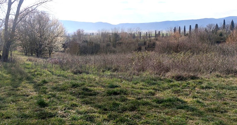 Terreno in vendita in san rocco a pilli, Sovicille