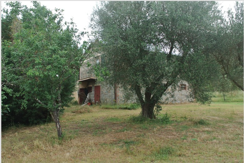 immagine annuncio 4 di 9