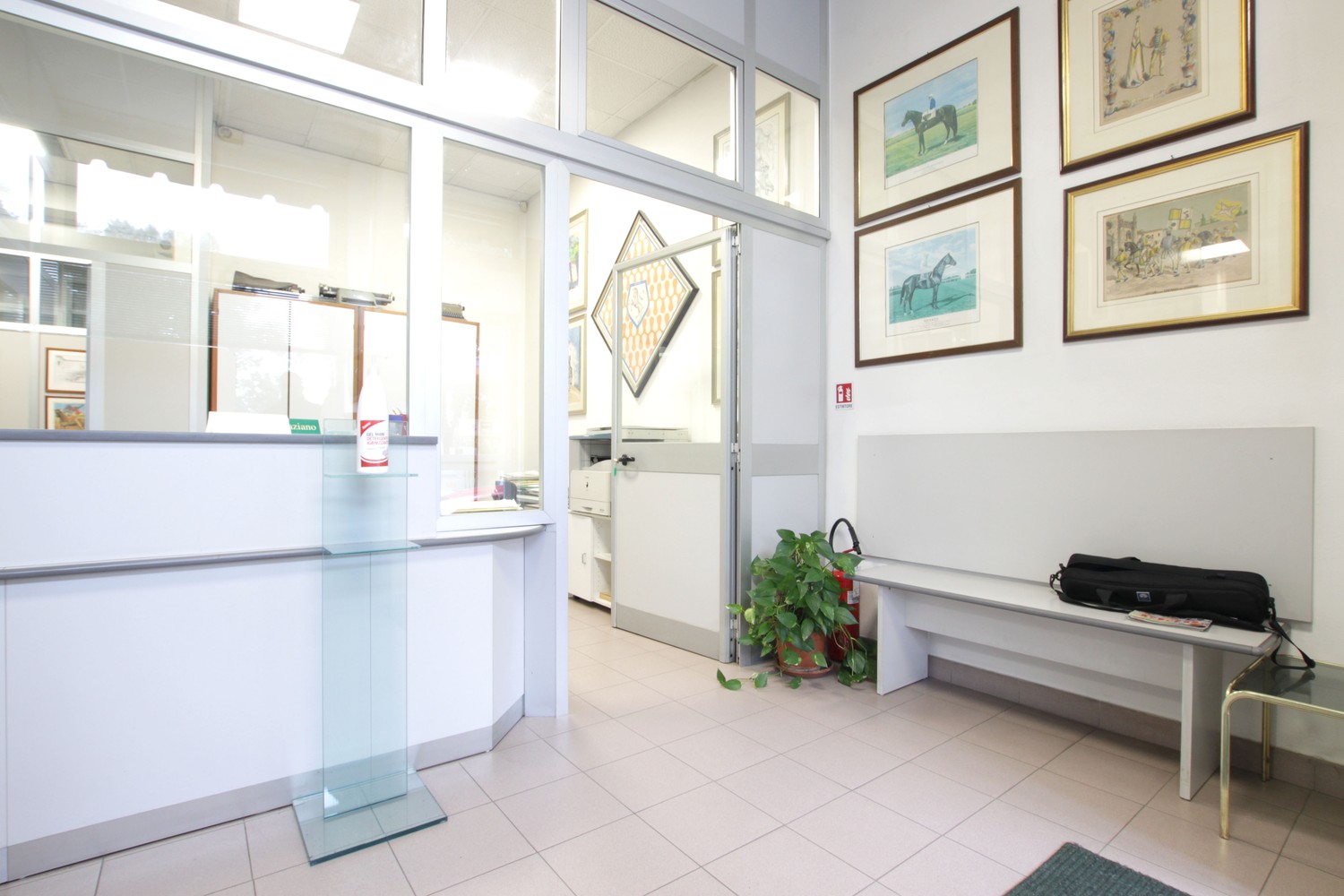 Ufficio in affitto in siena, Siena