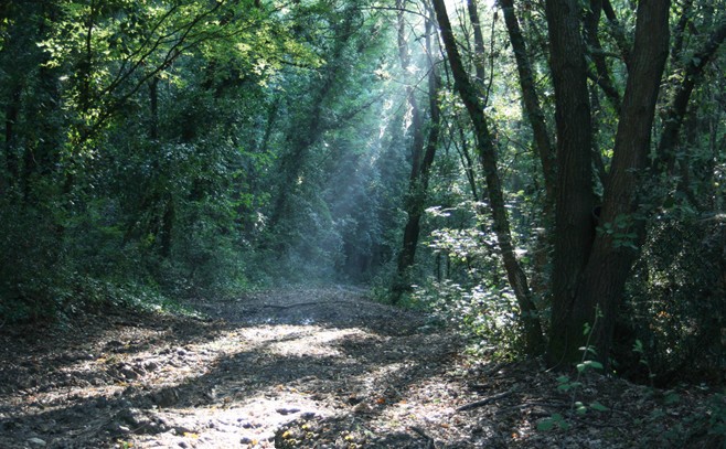 Terreno in vendita in strada del poggiolo, Monteriggioni