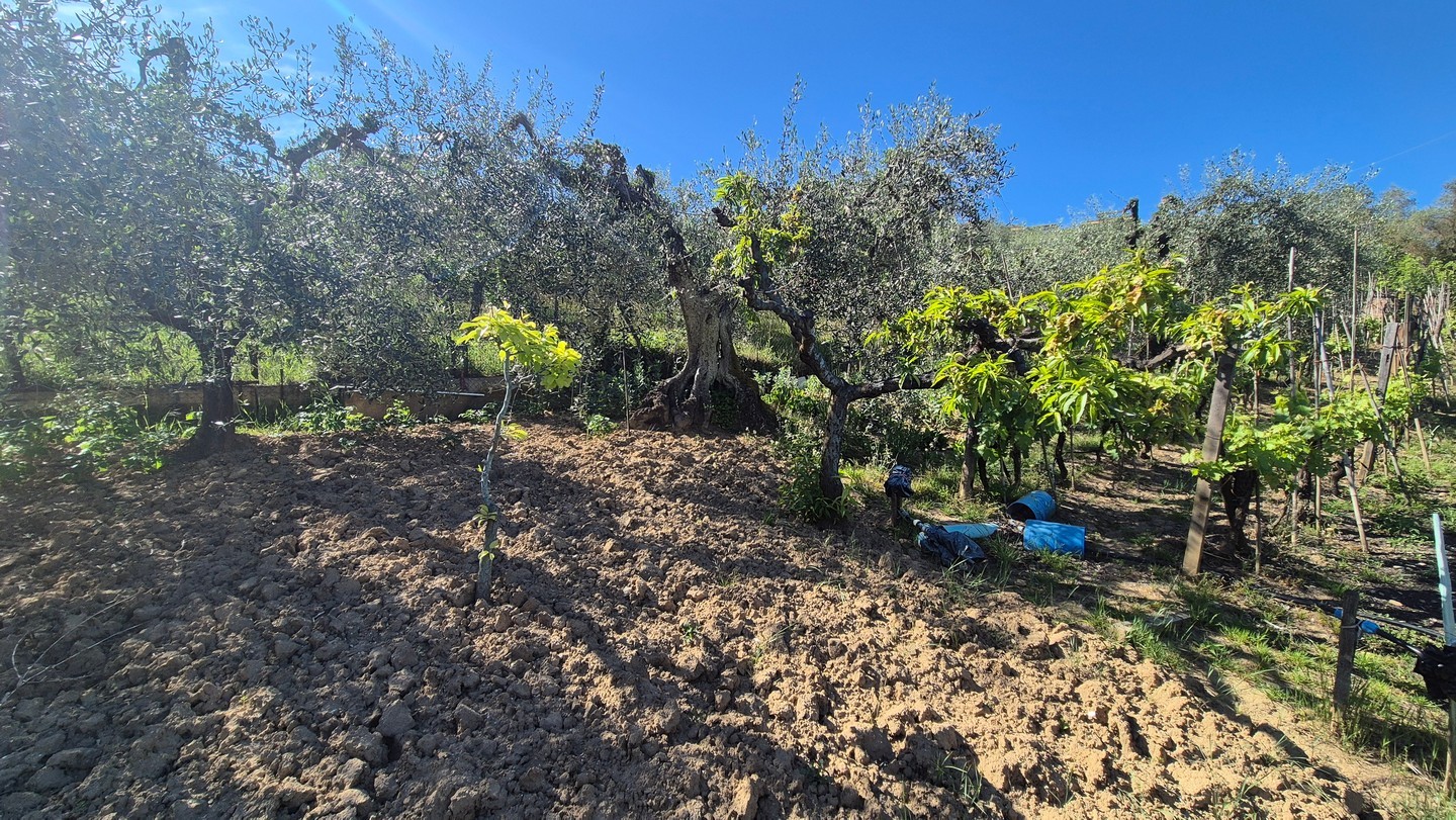 Terreno in vendita in strada dei tufi, Siena