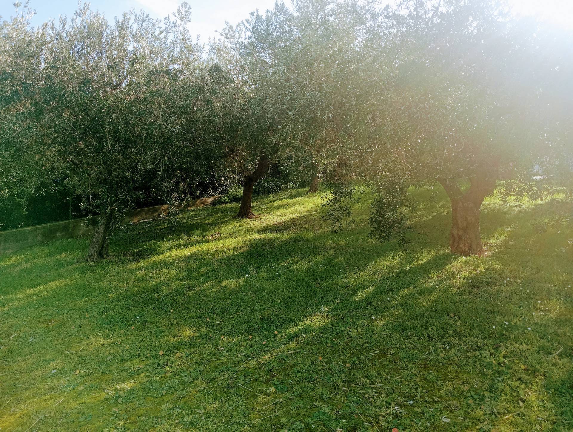 Terreno edificabile in vendita a Potenza Picena, San Girio