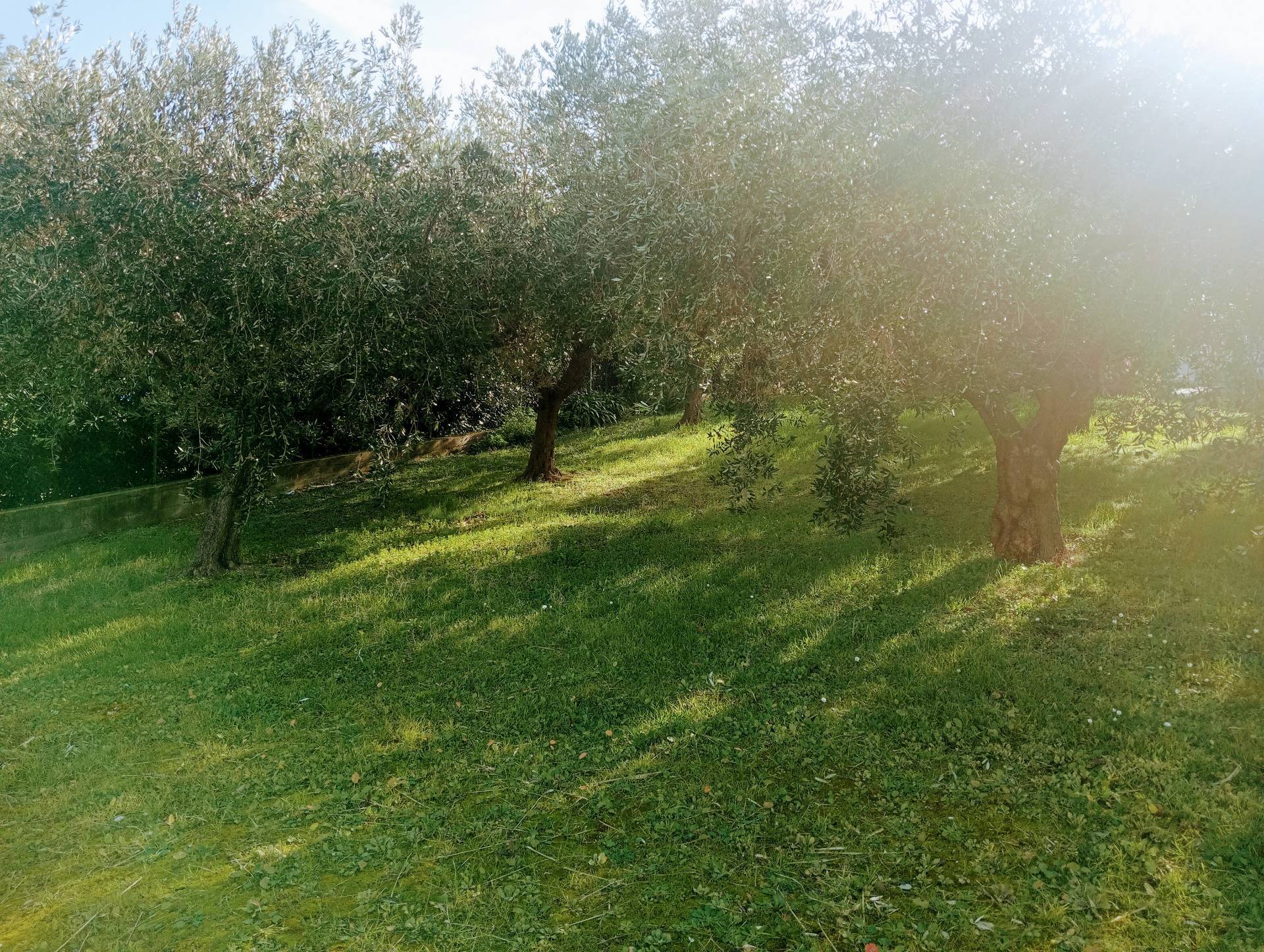 immagine annuncio 3 di 4