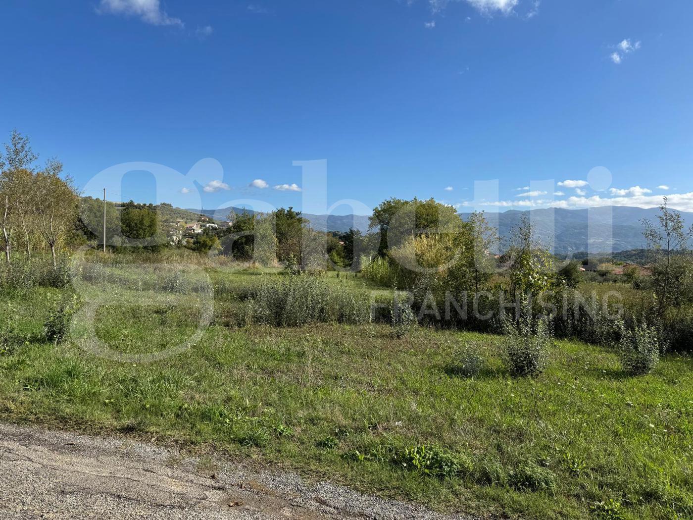 Terreno Agricolo in vendita a Rende