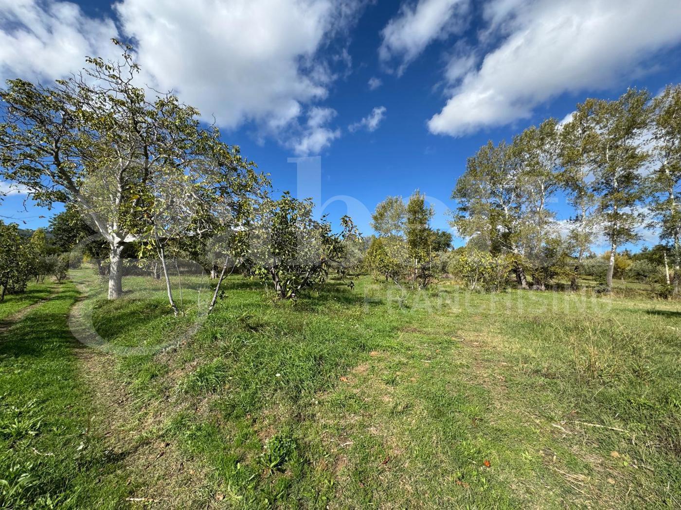 Terreno Agricolo in vendita a Rende
