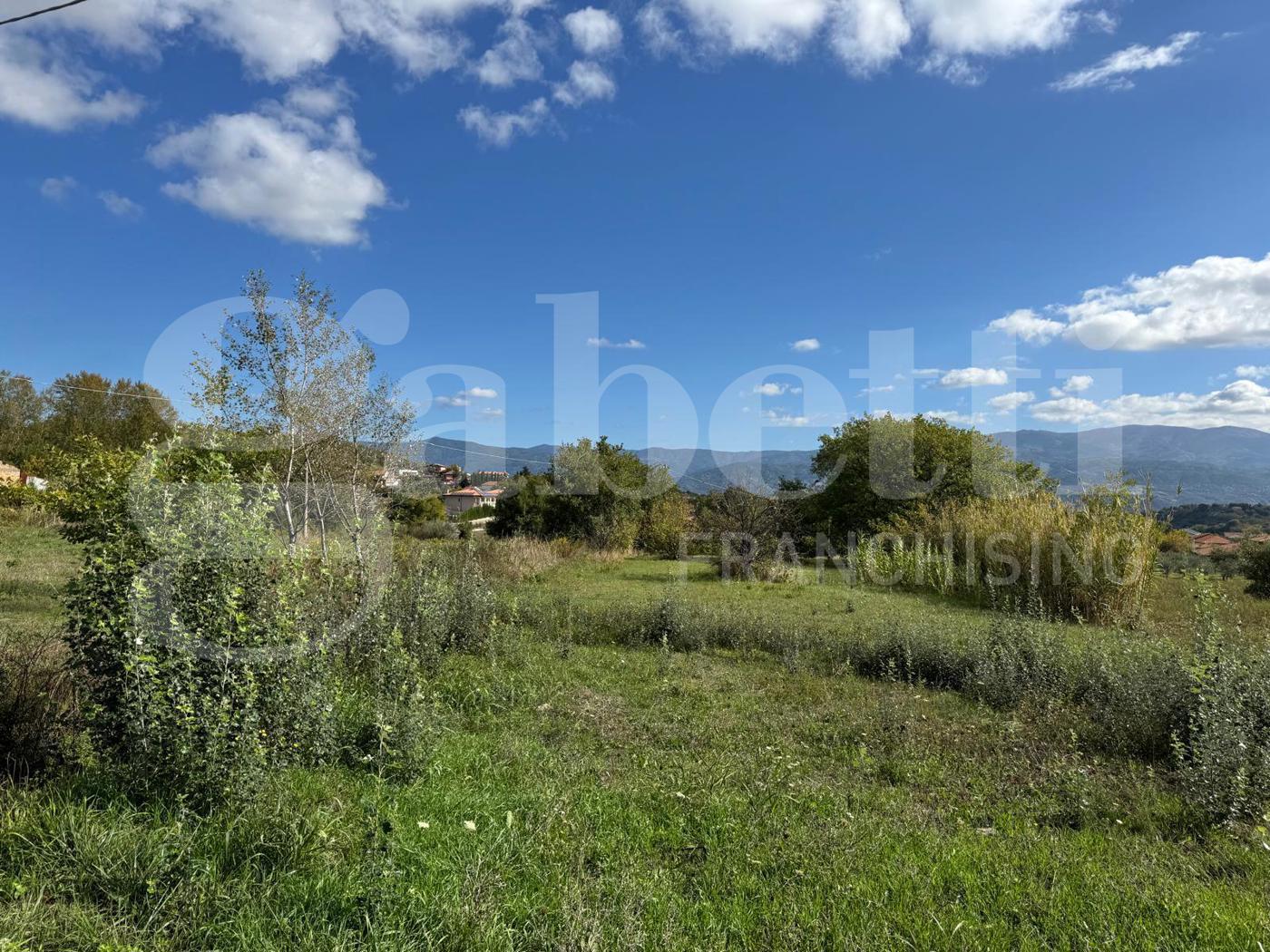 Terreno Agricolo in vendita a Rende