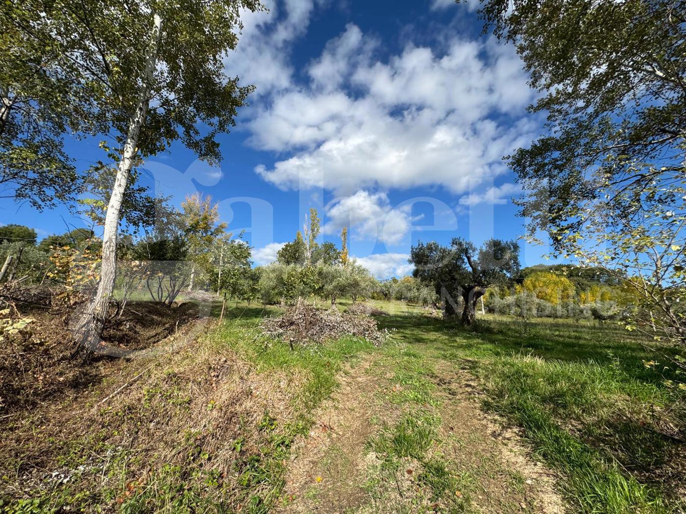 Terreno Agricolo in vendita a Rende