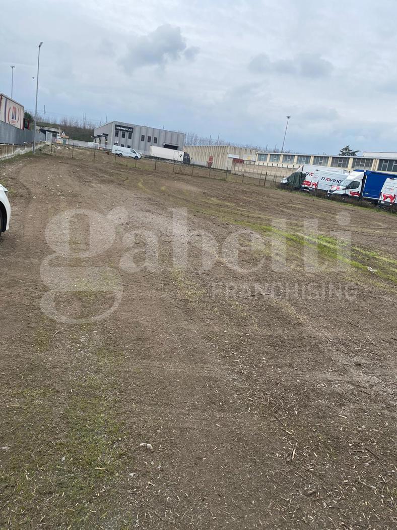 Terreno Agricolo in affitto a Rende