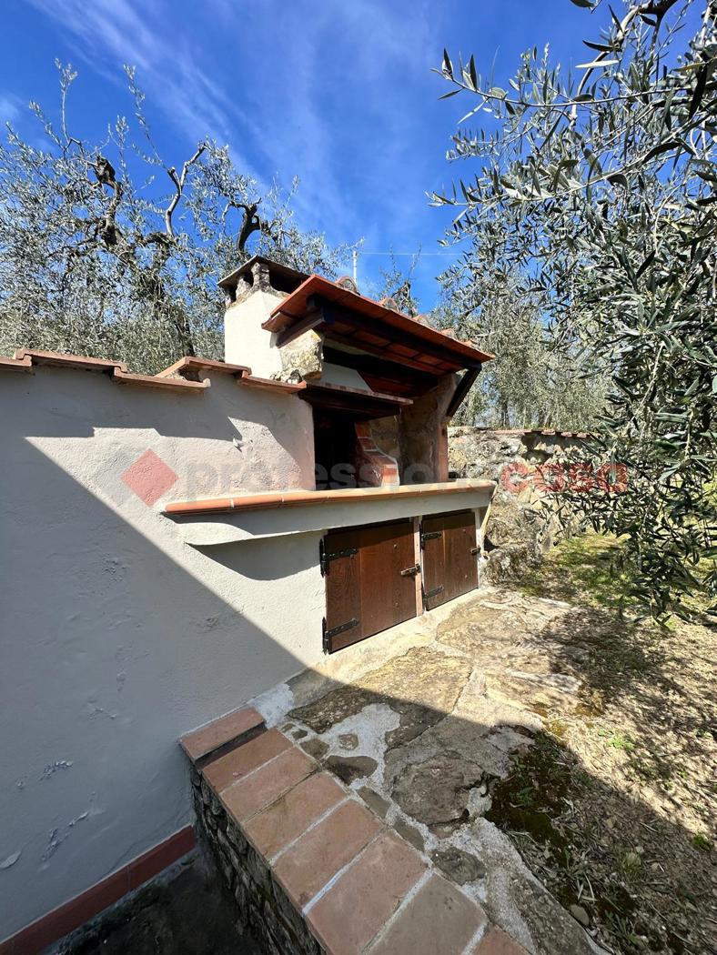 Terreno Agricolo in vendita a Arezzo