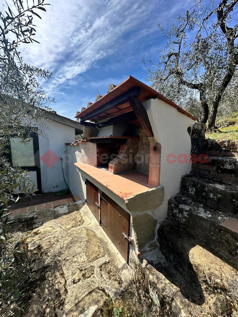 Terreno Agricolo in vendita a Arezzo