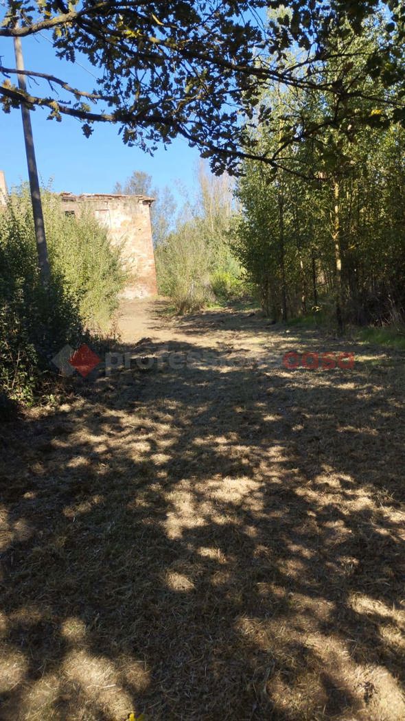 Terreno Agricolo in vendita a Arezzo