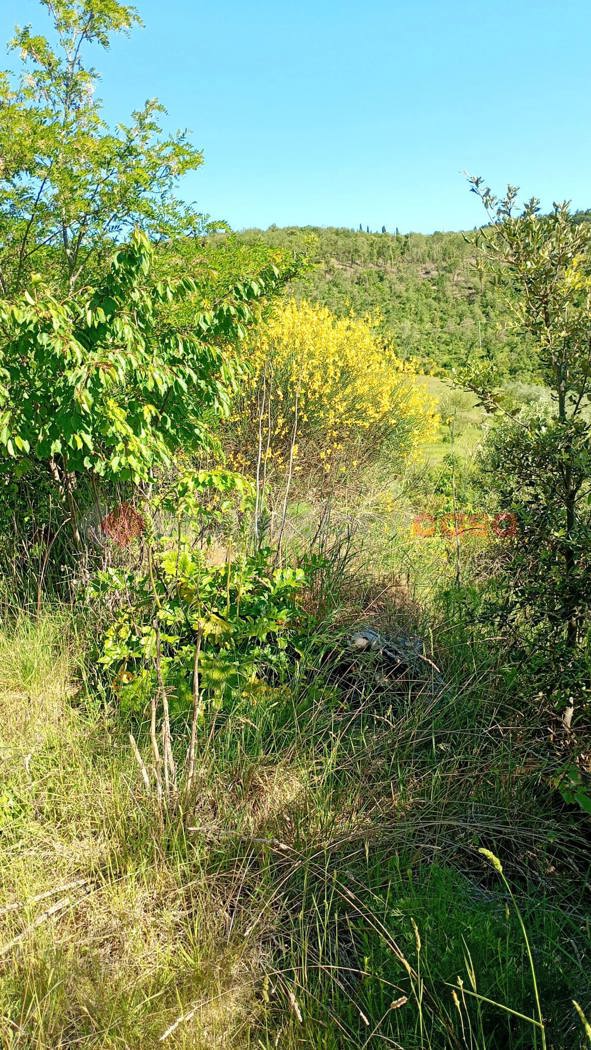Terreno Agricolo in vendita a Arezzo