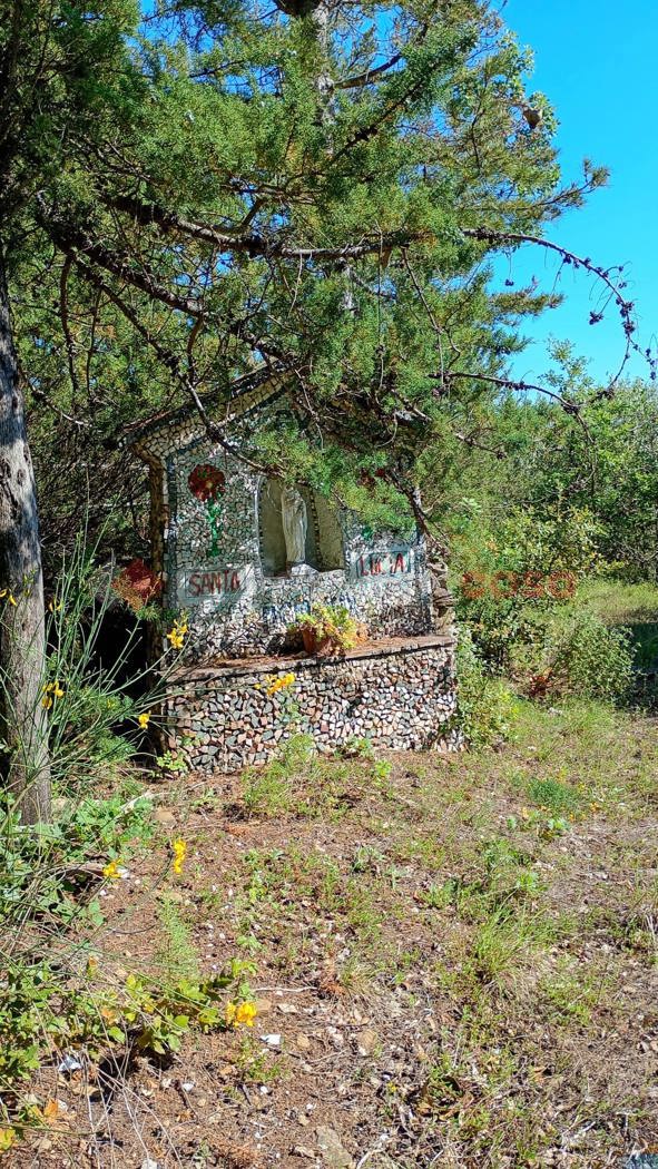 Terreno Agricolo in vendita a Arezzo