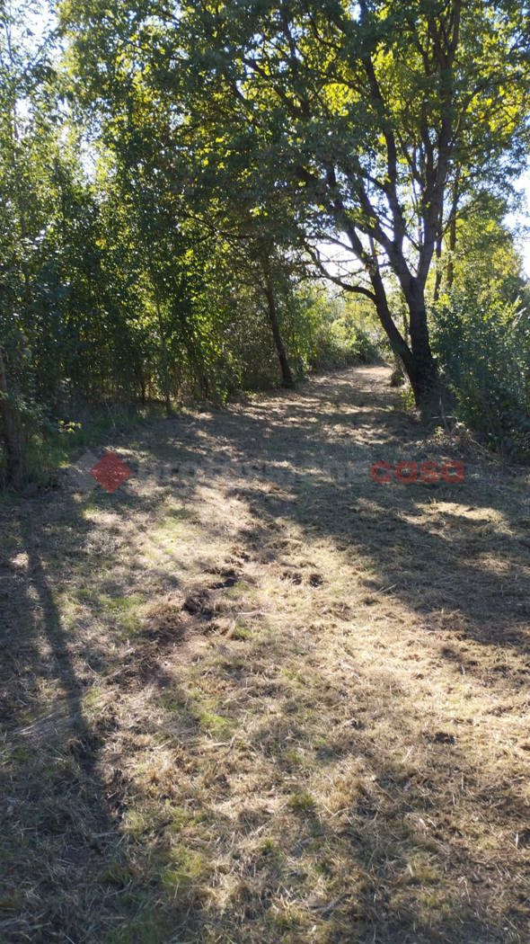 Terreno Agricolo in vendita a Arezzo