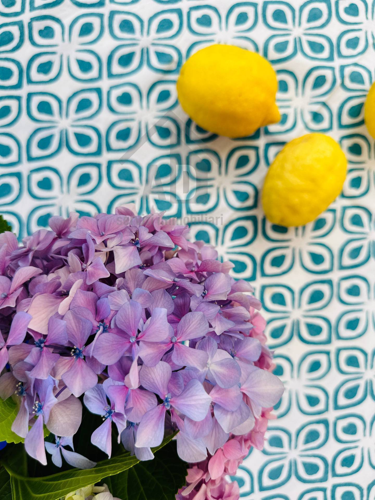 Appartamento in vendita a Carolei