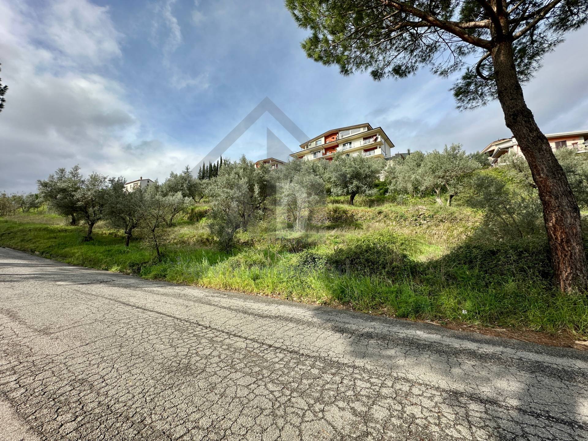 Terreno Agricolo in vendita a Mendicino, Tivolille