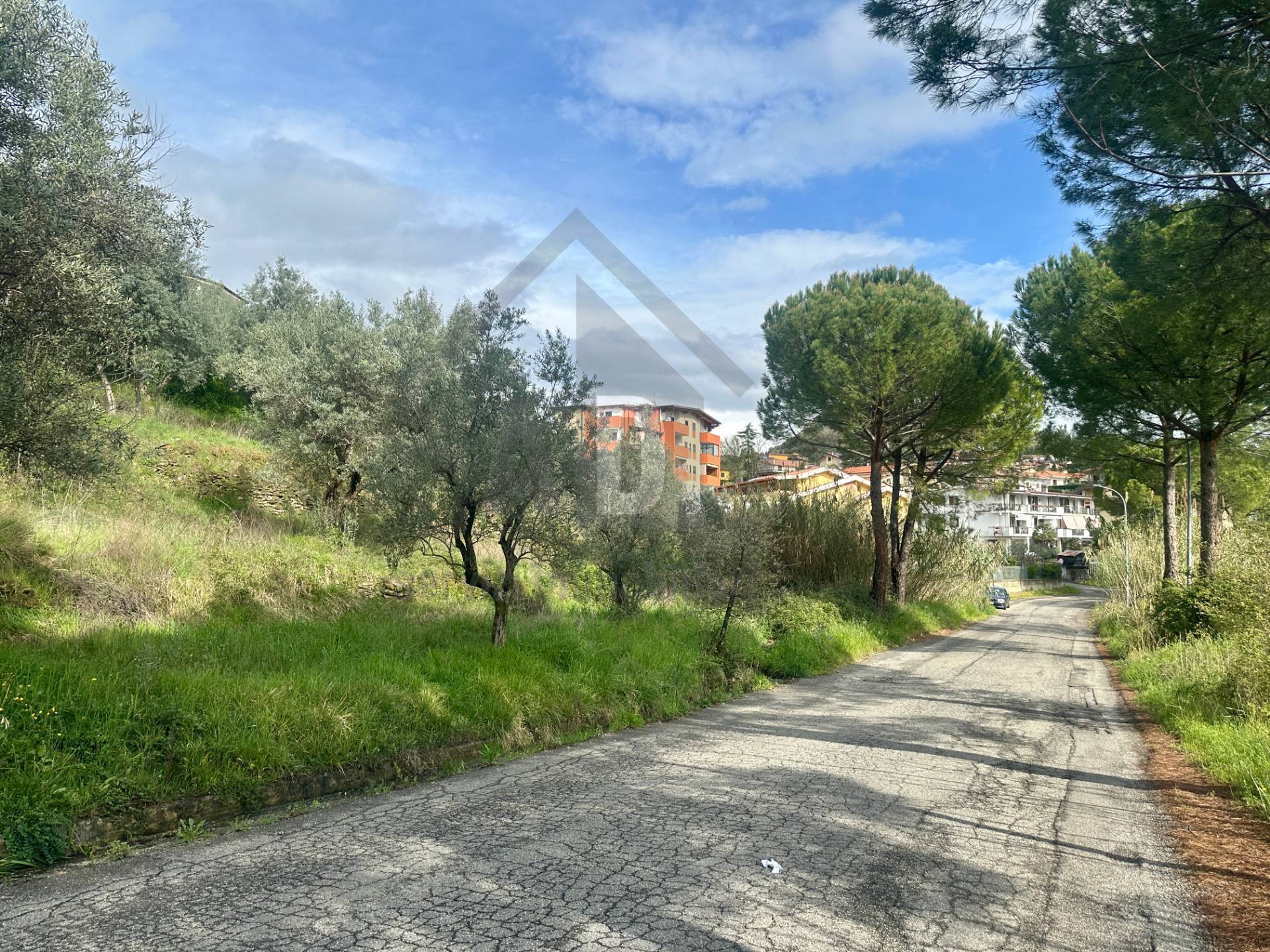 Terreno Agricolo in vendita a Mendicino, Tivolille