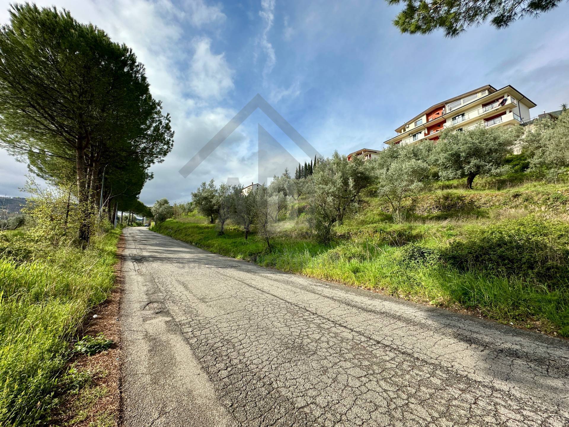 Terreno Agricolo in vendita a Mendicino, Tivolille