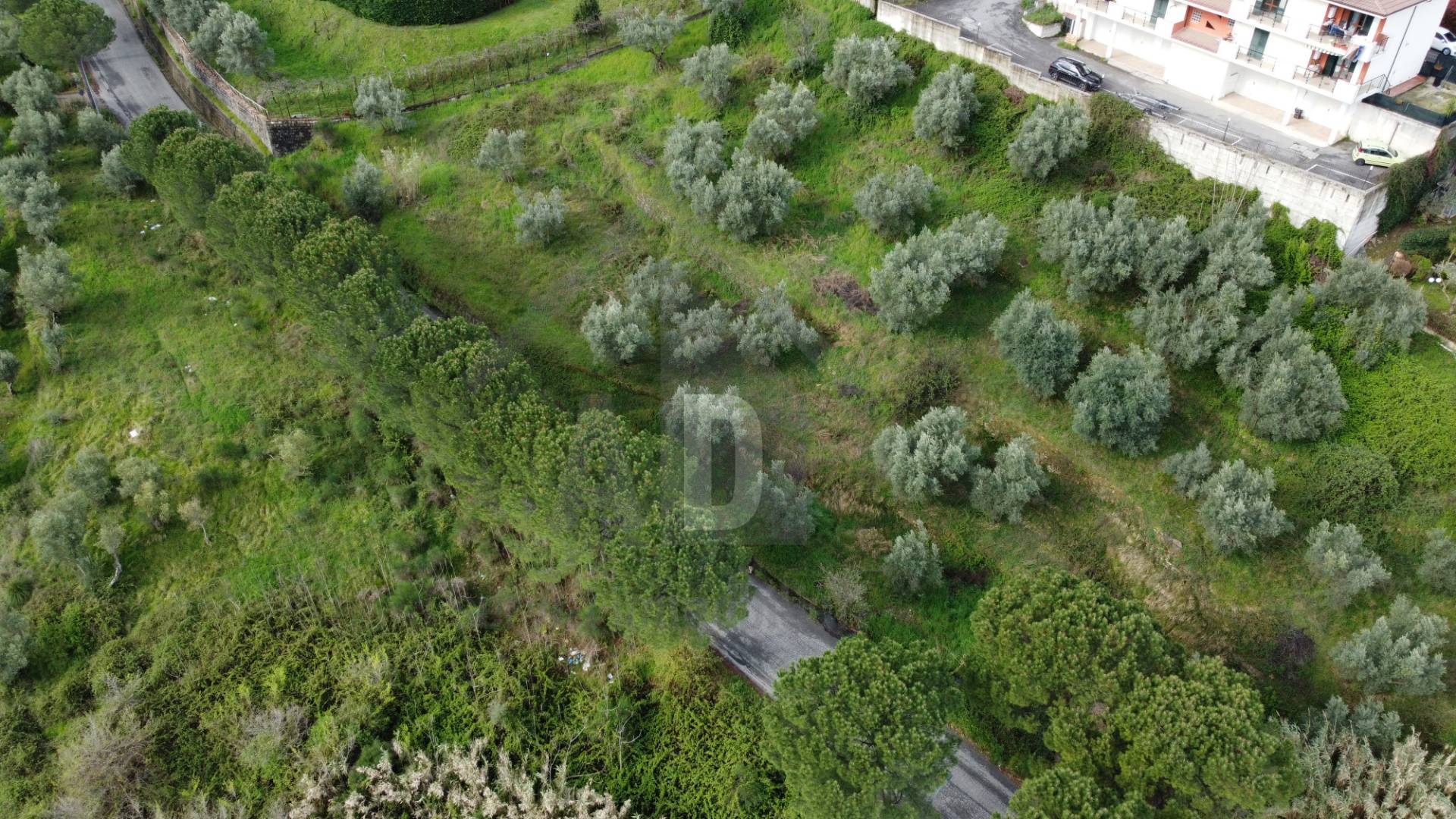 Terreno Agricolo in vendita a Mendicino, Tivolille