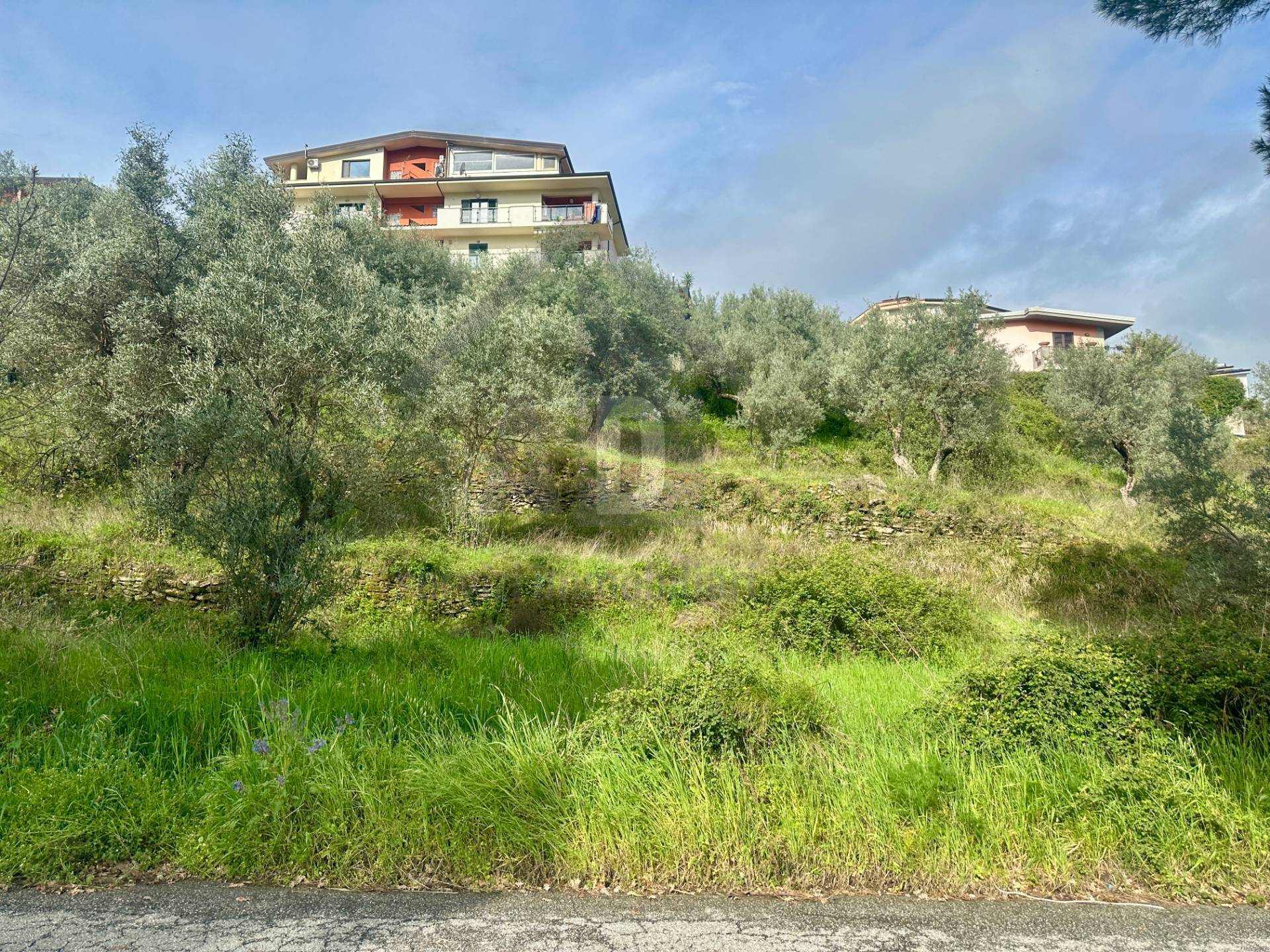 Terreno Agricolo in vendita a Mendicino, Tivolille