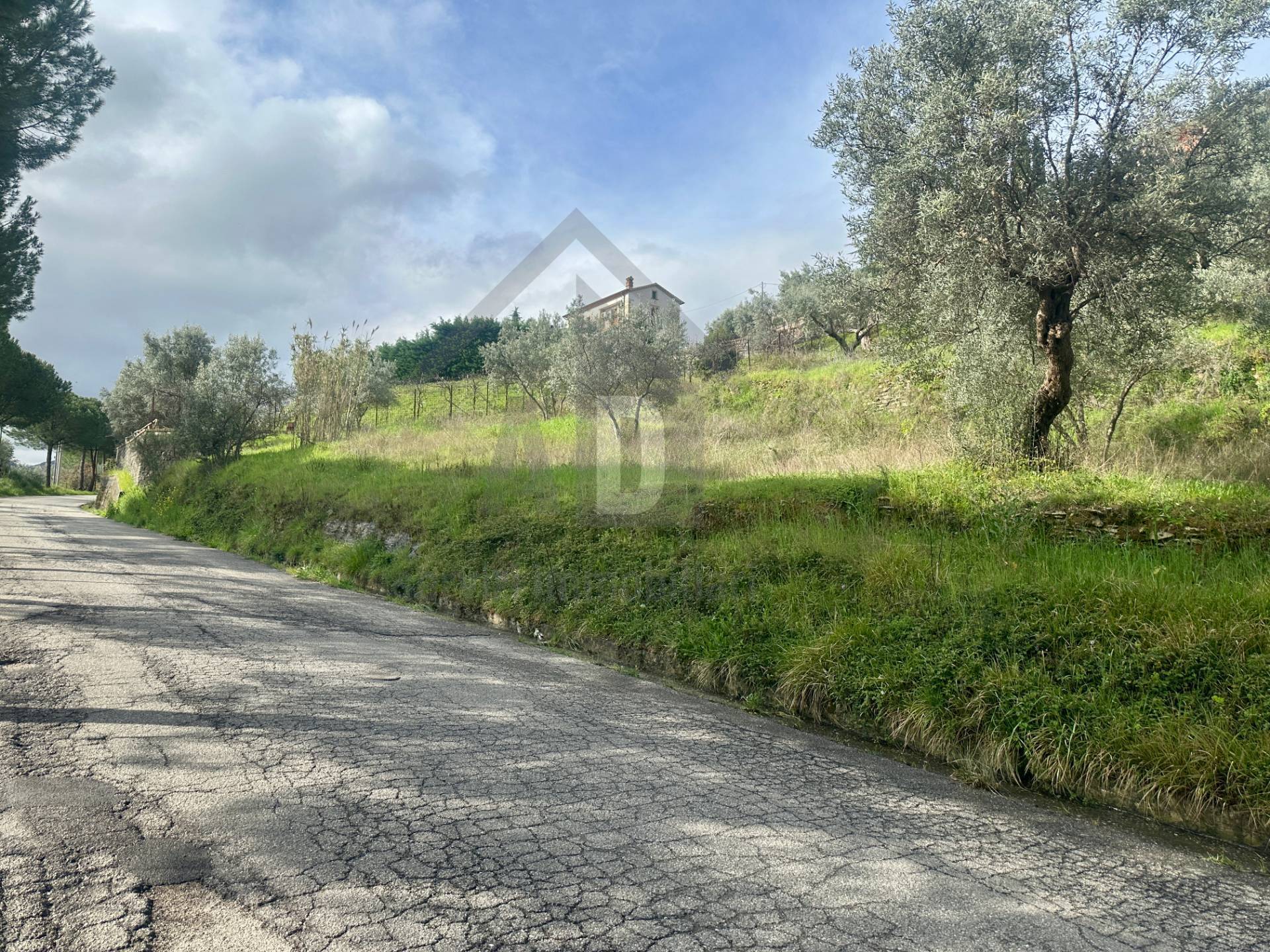 Terreno Agricolo in vendita a Mendicino, Tivolille